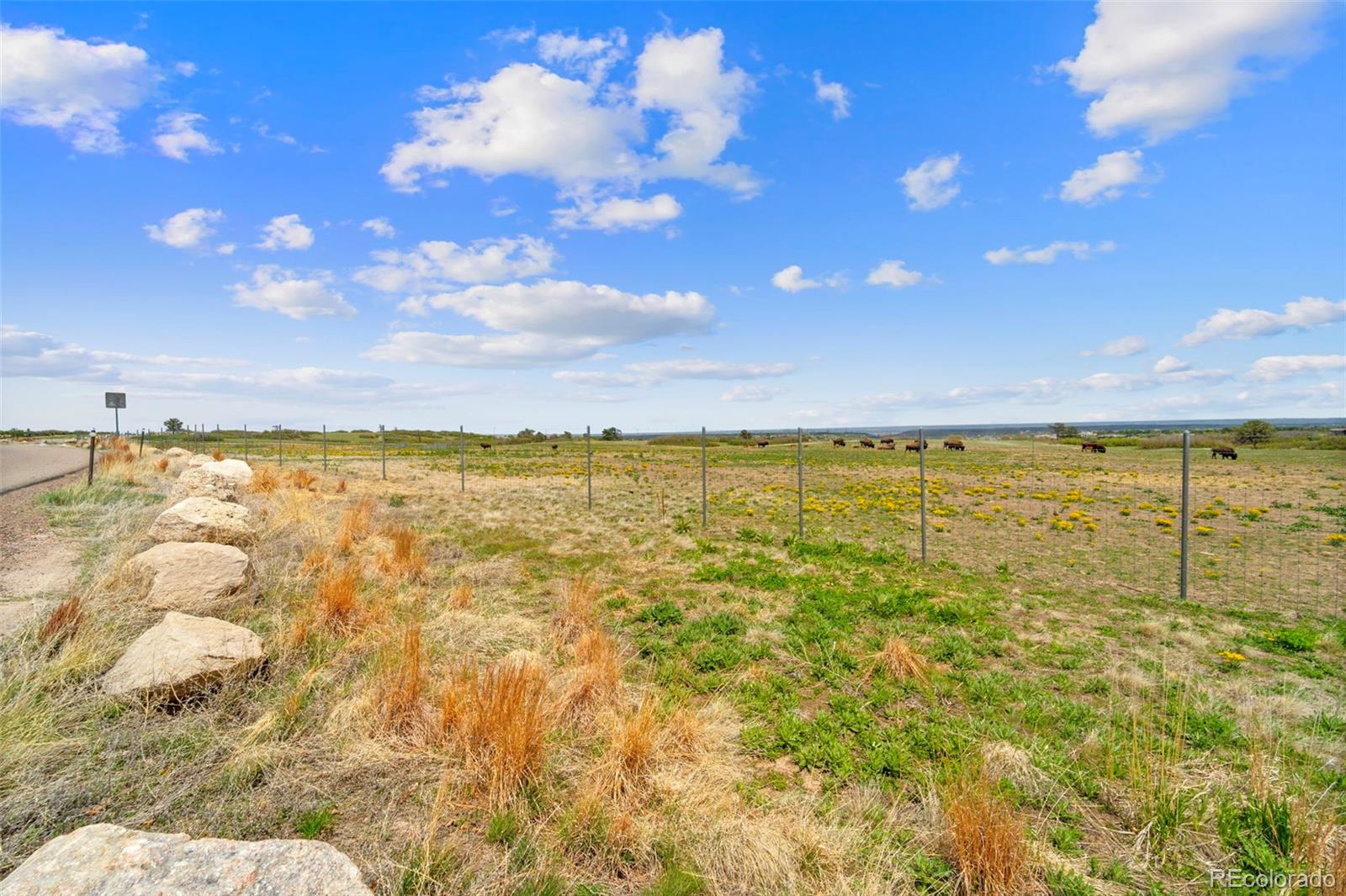 MLS Image #40 for 1232  berganot trail,castle pines, Colorado