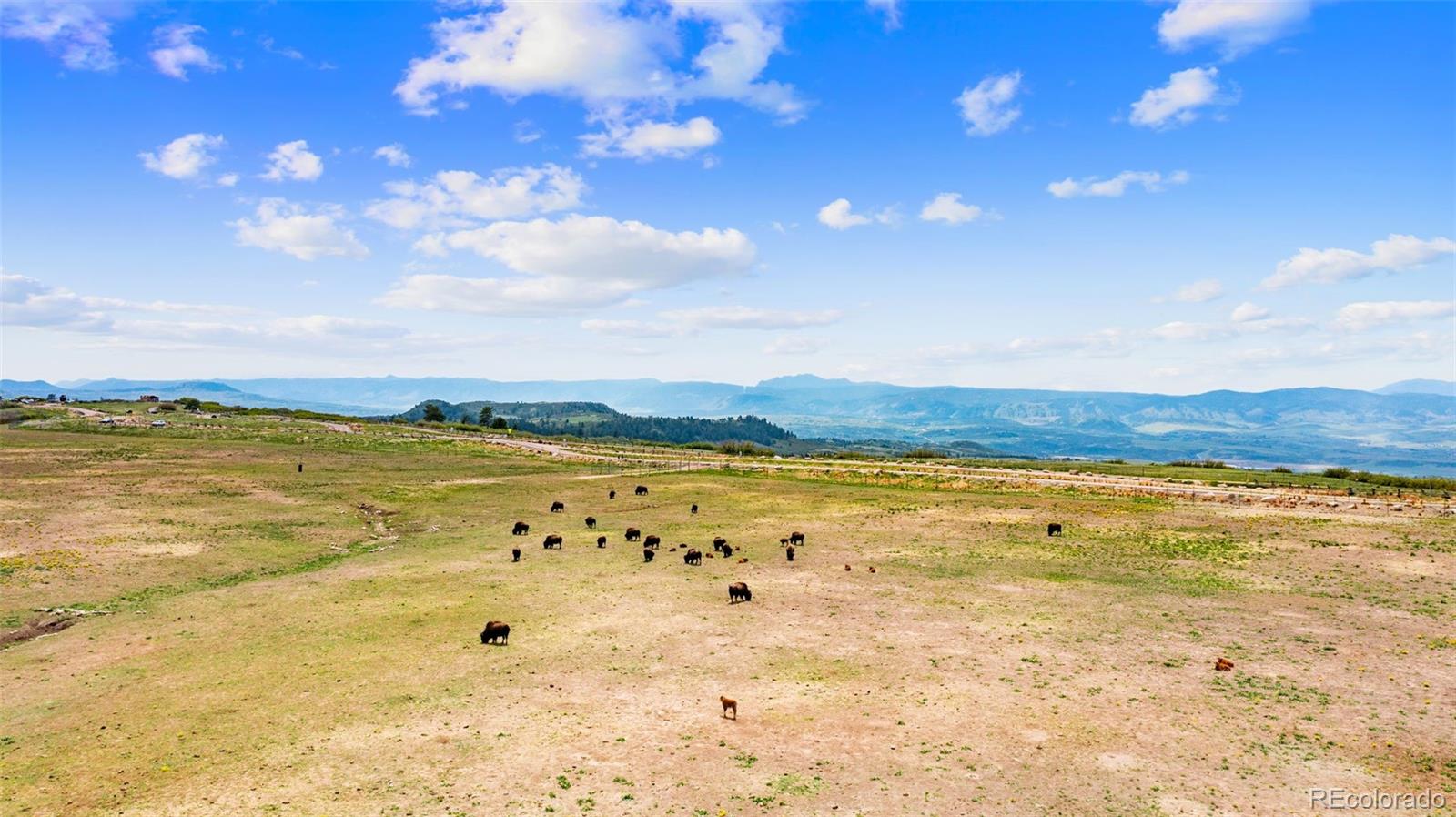 MLS Image #45 for 1232  berganot trail,castle pines, Colorado