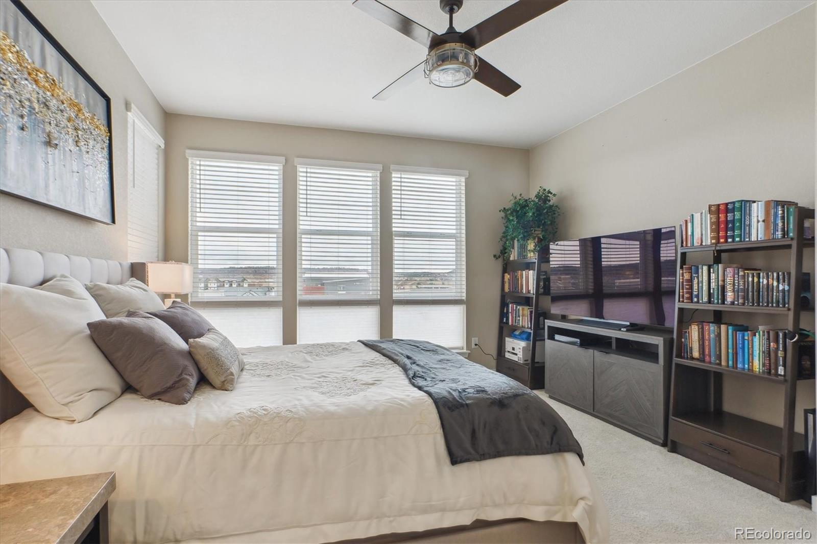 MLS Image #17 for 3698  penang drive,castle rock, Colorado