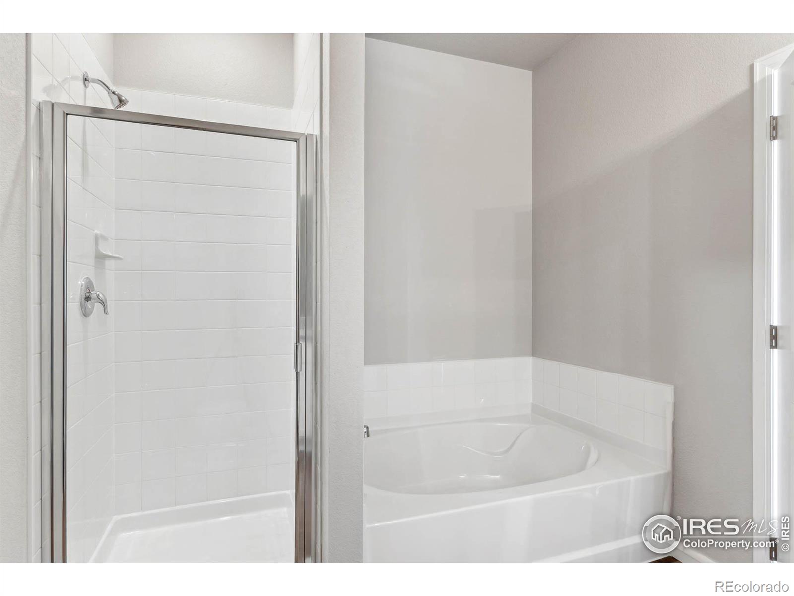 MLS Image #8 for 1052  long meadows street,severance, Colorado