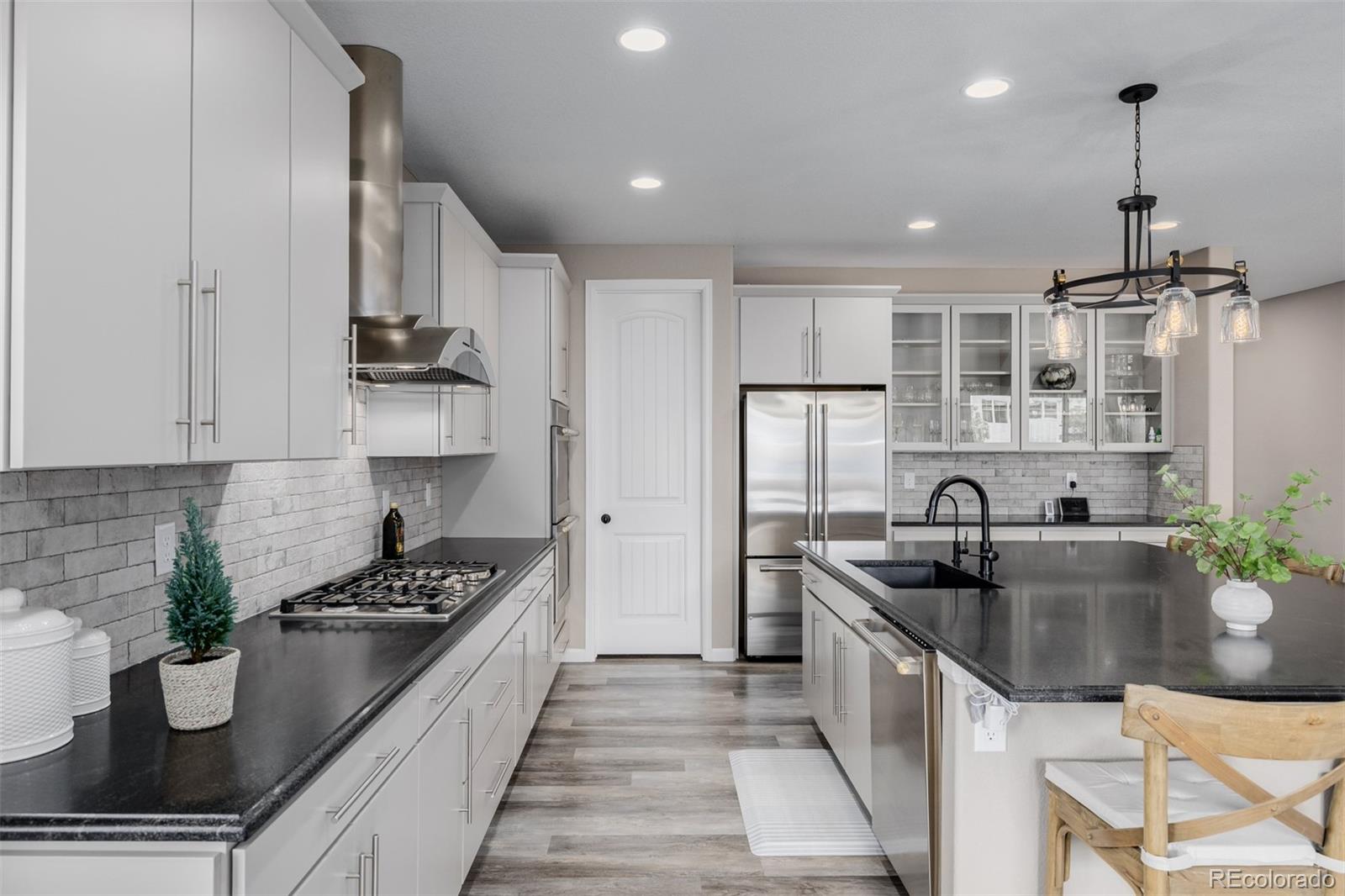 MLS Image #10 for 3059  morningbird lane,castle rock, Colorado
