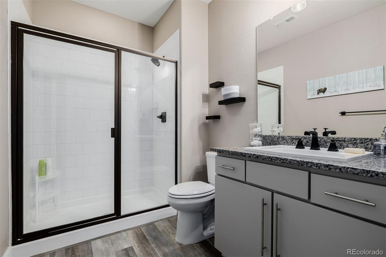 MLS Image #36 for 3059  morningbird lane,castle rock, Colorado