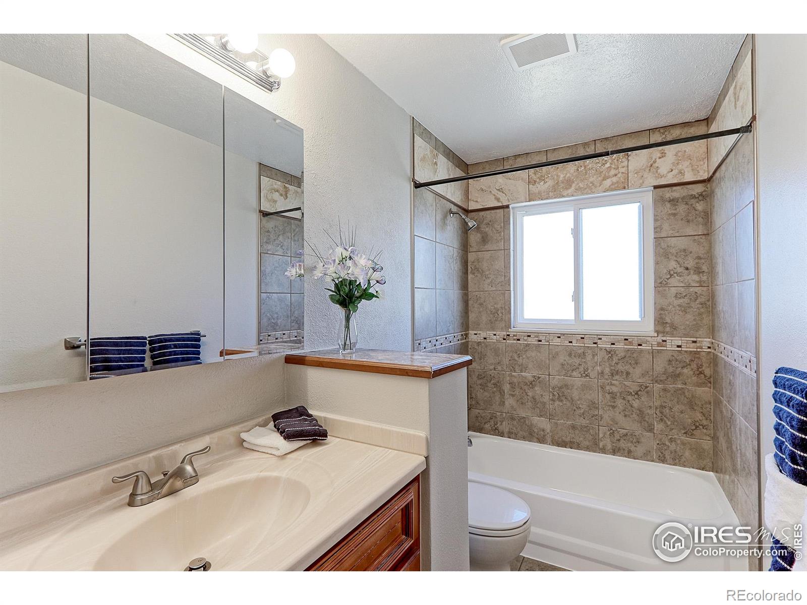 MLS Image #12 for 383 s 21st avenue,brighton, Colorado