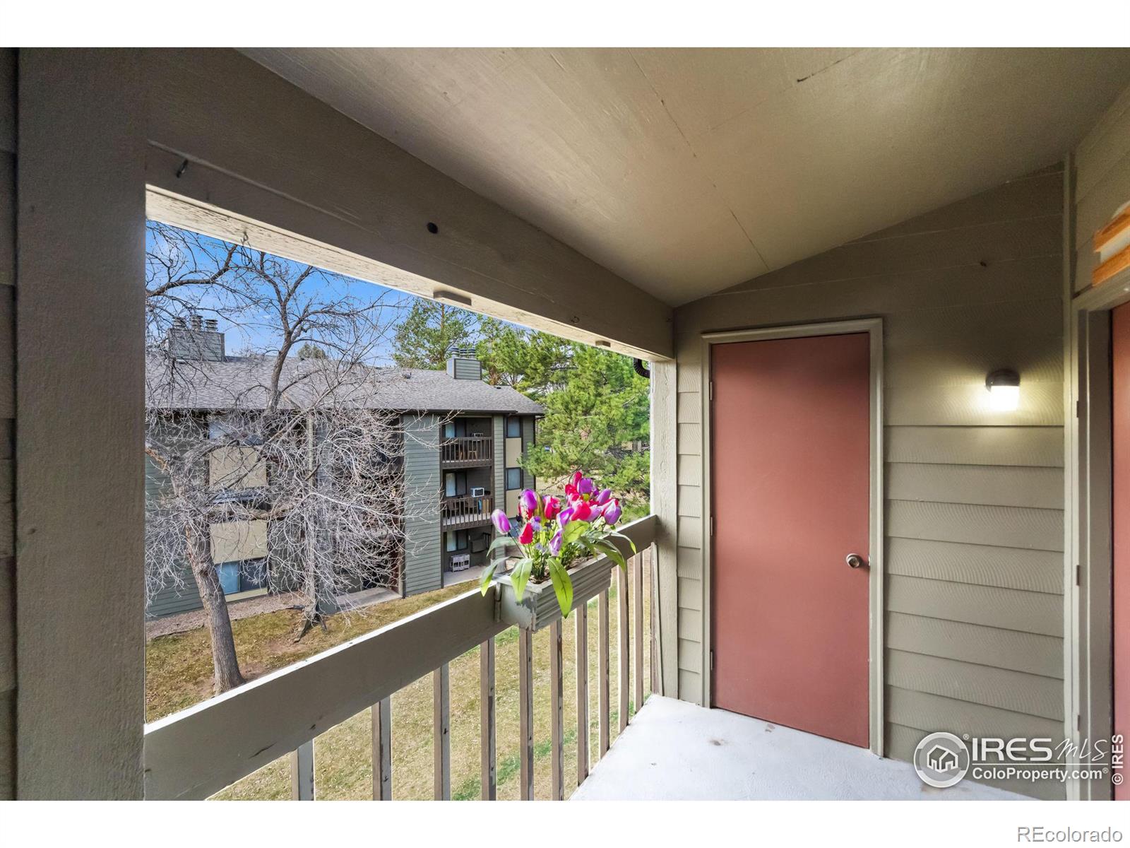 MLS Image #20 for 925  columbia road,fort collins, Colorado