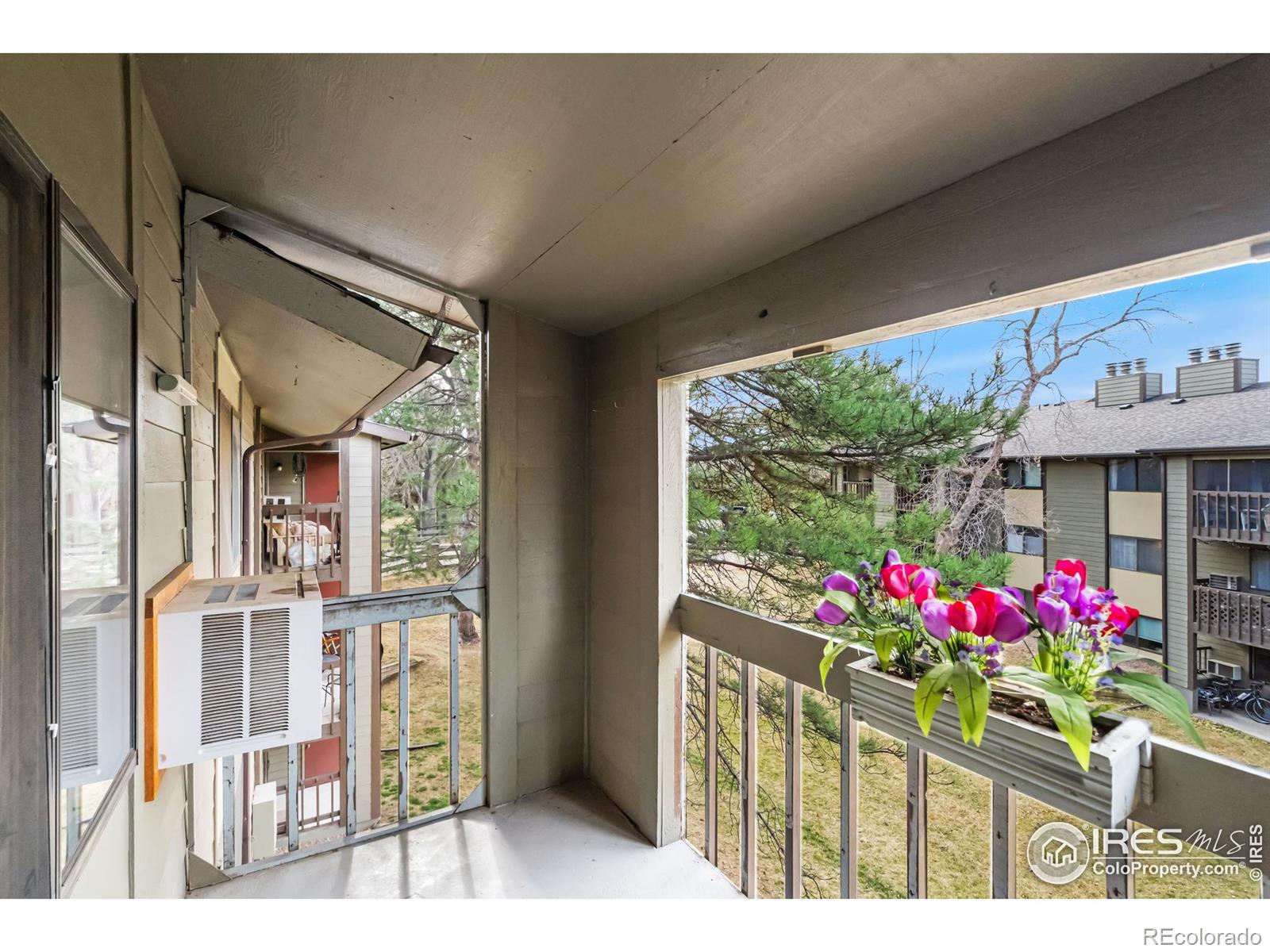 MLS Image #22 for 925  columbia road,fort collins, Colorado