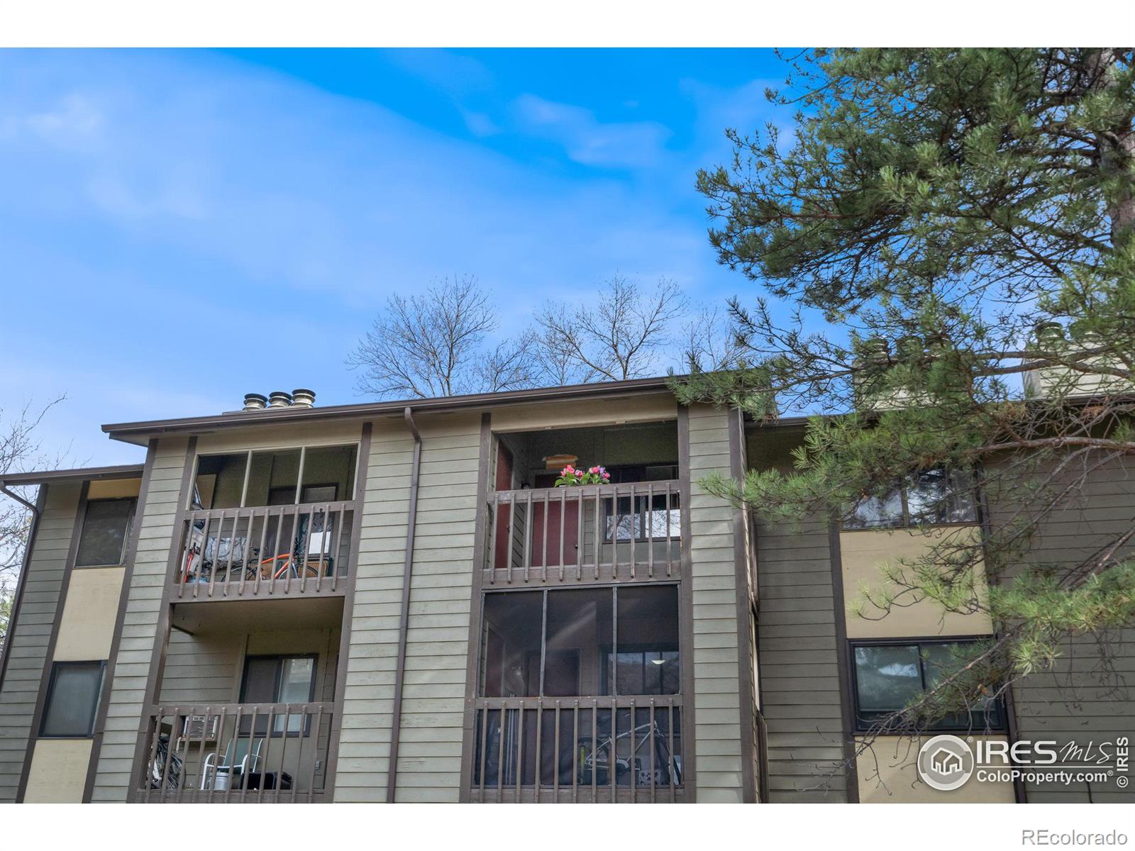MLS Image #24 for 925  columbia road,fort collins, Colorado