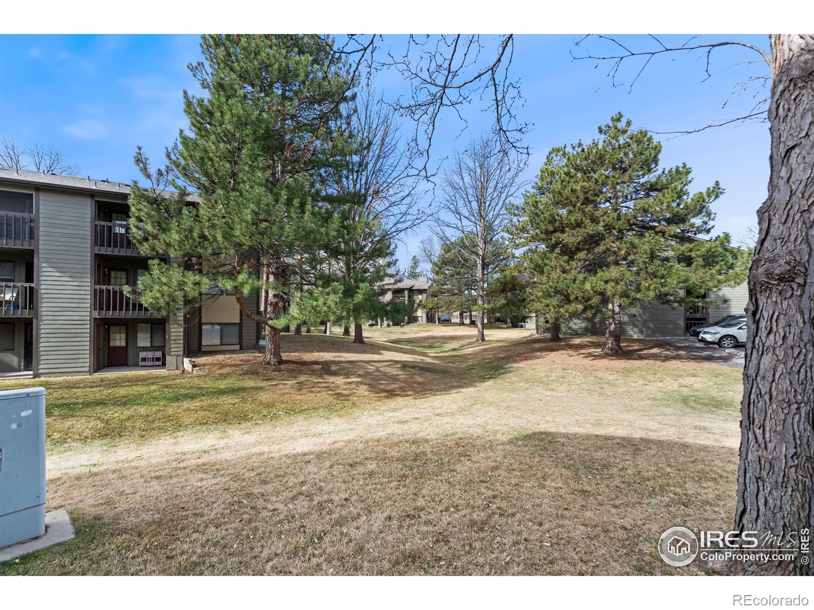 MLS Image #25 for 925  columbia road,fort collins, Colorado