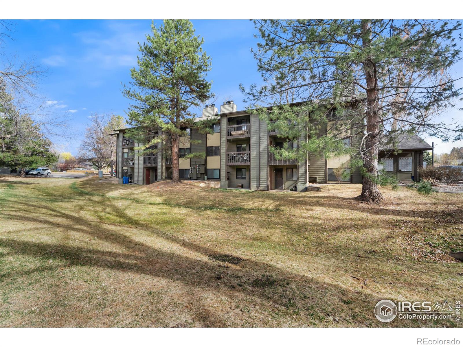 MLS Image #28 for 925  columbia road,fort collins, Colorado