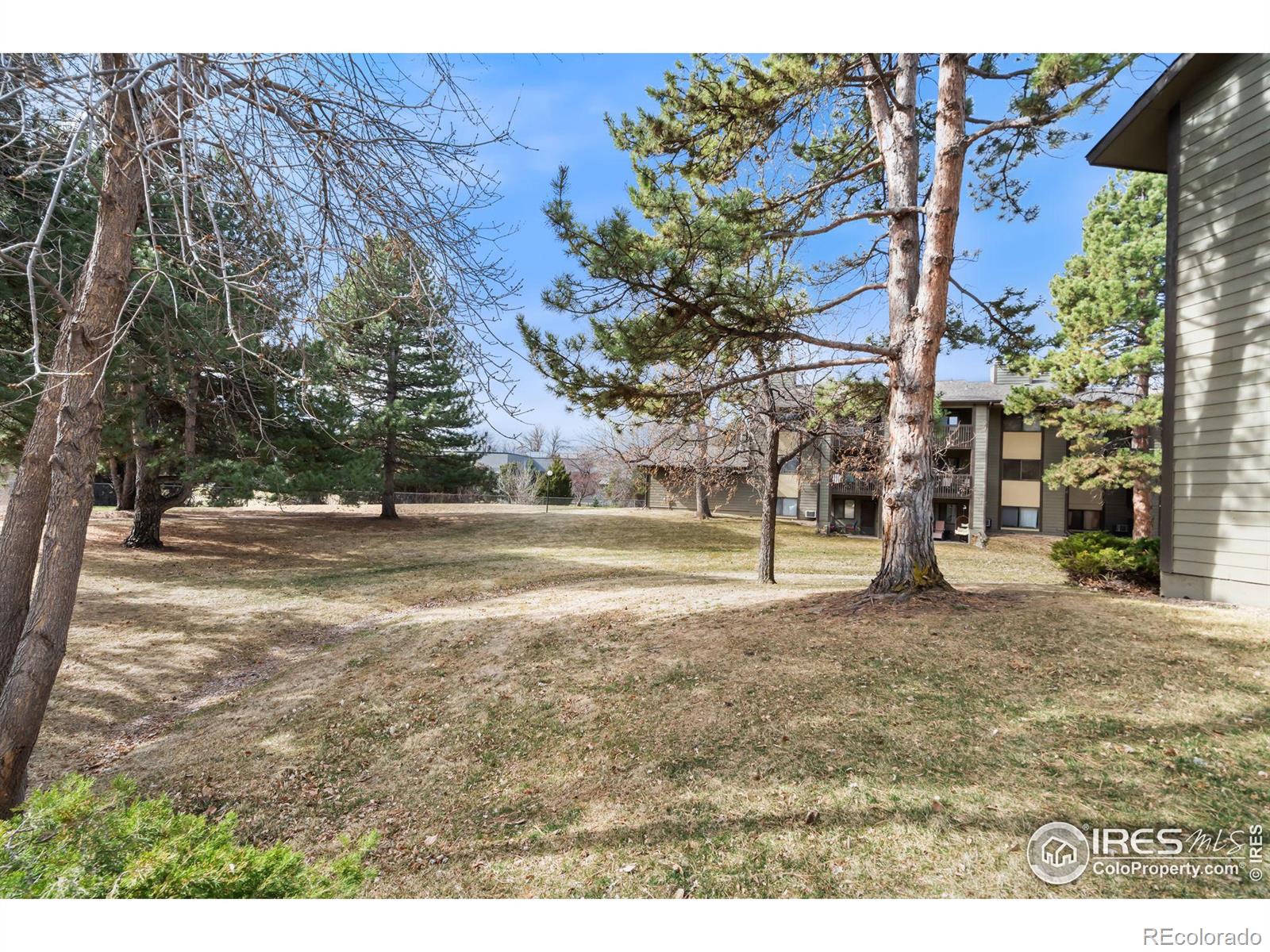 MLS Image #29 for 925  columbia road,fort collins, Colorado