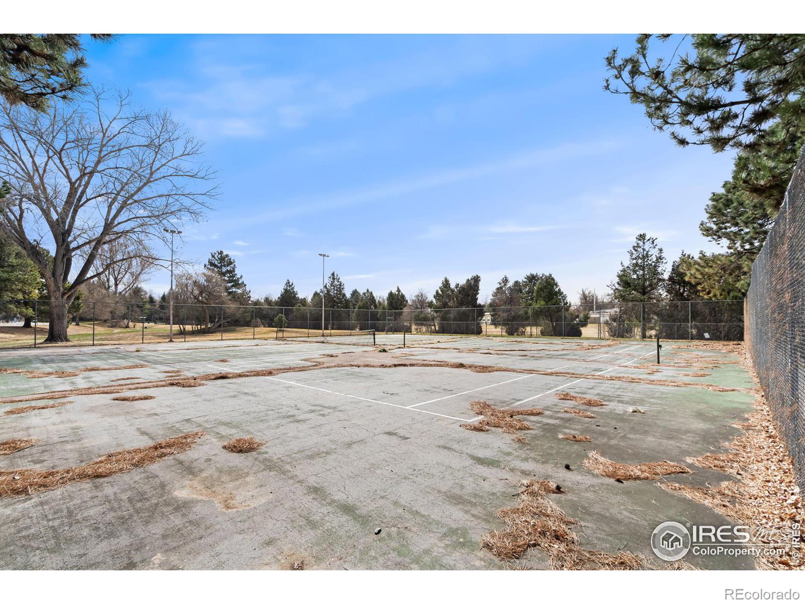 MLS Image #31 for 925  columbia road,fort collins, Colorado