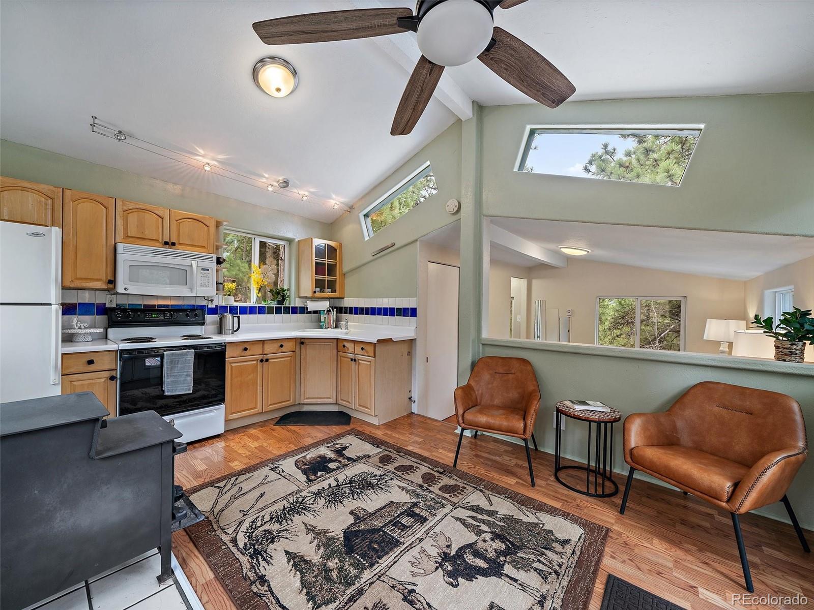 MLS Image #13 for 26349  pleasant park road,conifer, Colorado