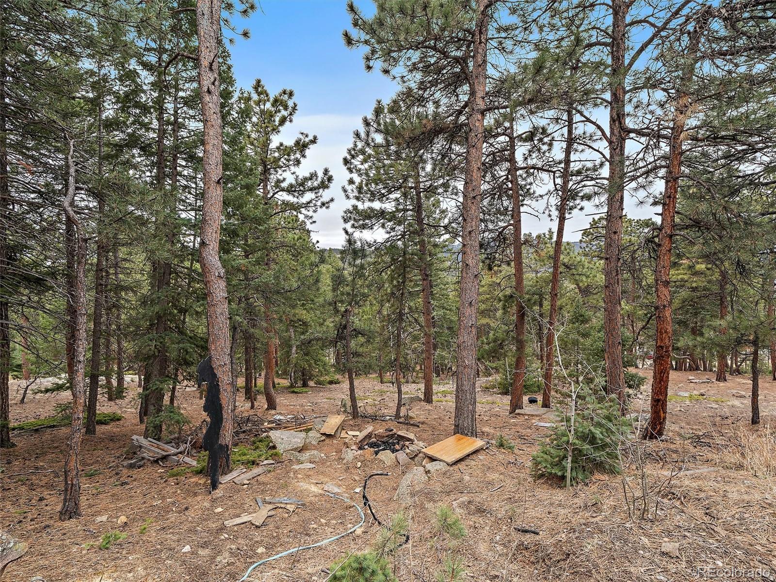 MLS Image #25 for 26349  pleasant park road,conifer, Colorado