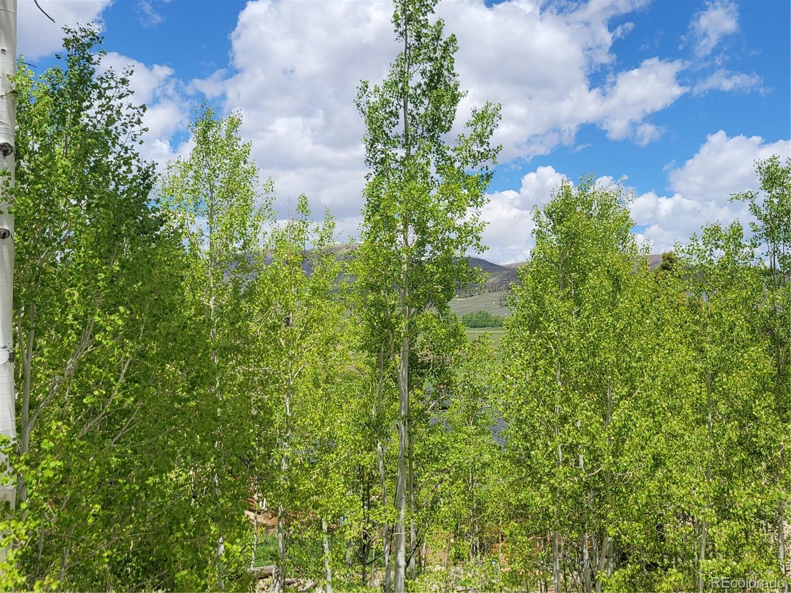 MLS Image #43 for 113  gcr 4480 ,grand lake, Colorado