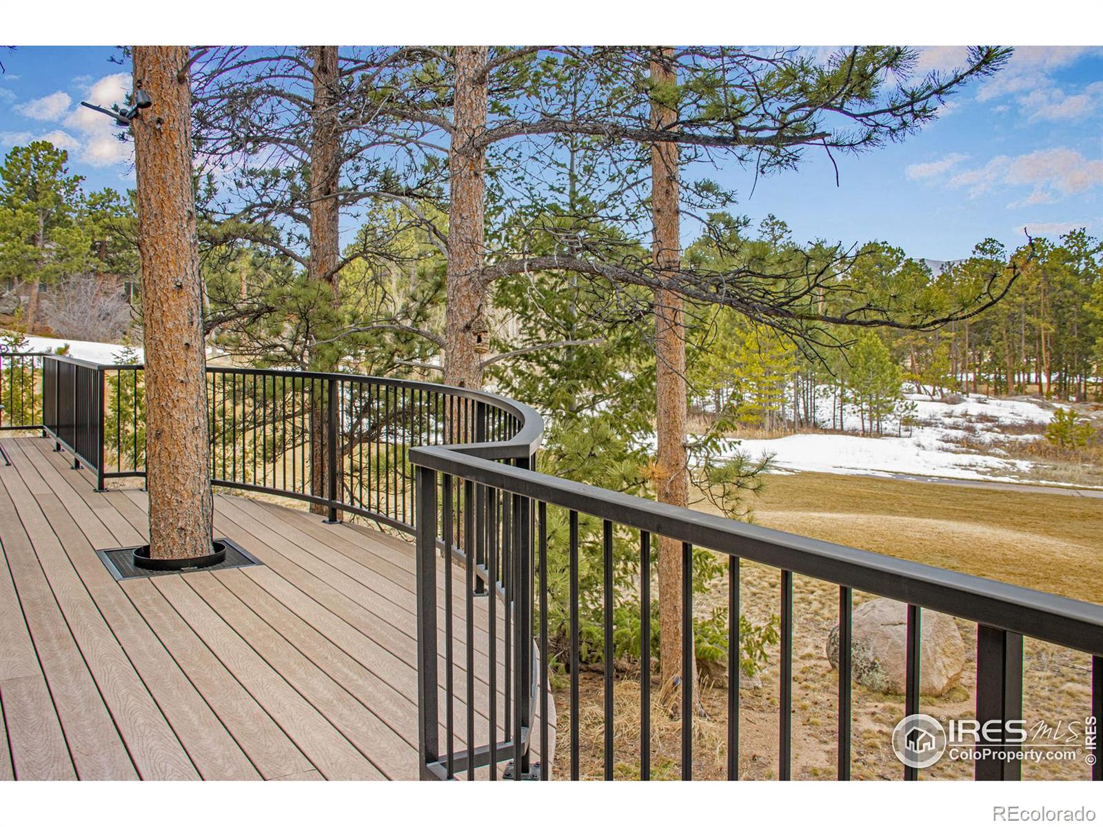 MLS Image #30 for 2251  fox acres drive,red feather lakes, Colorado