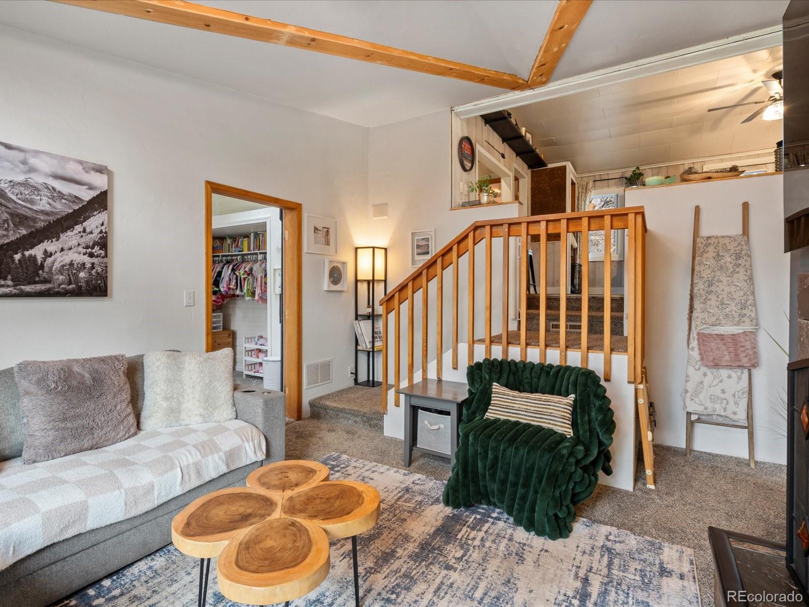 MLS Image #17 for 4786  forest hill road,evergreen, Colorado