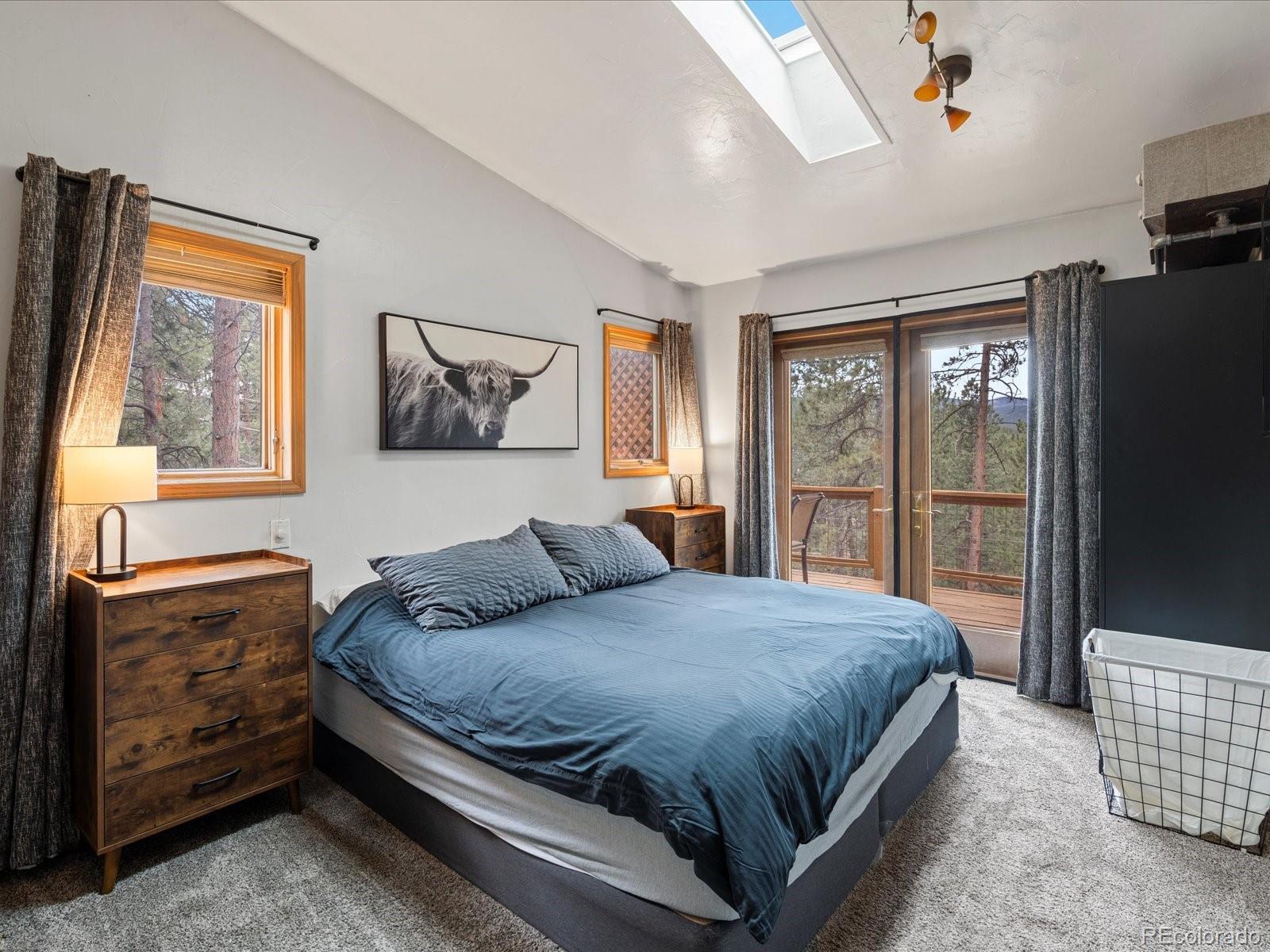 MLS Image #18 for 4786  forest hill road,evergreen, Colorado