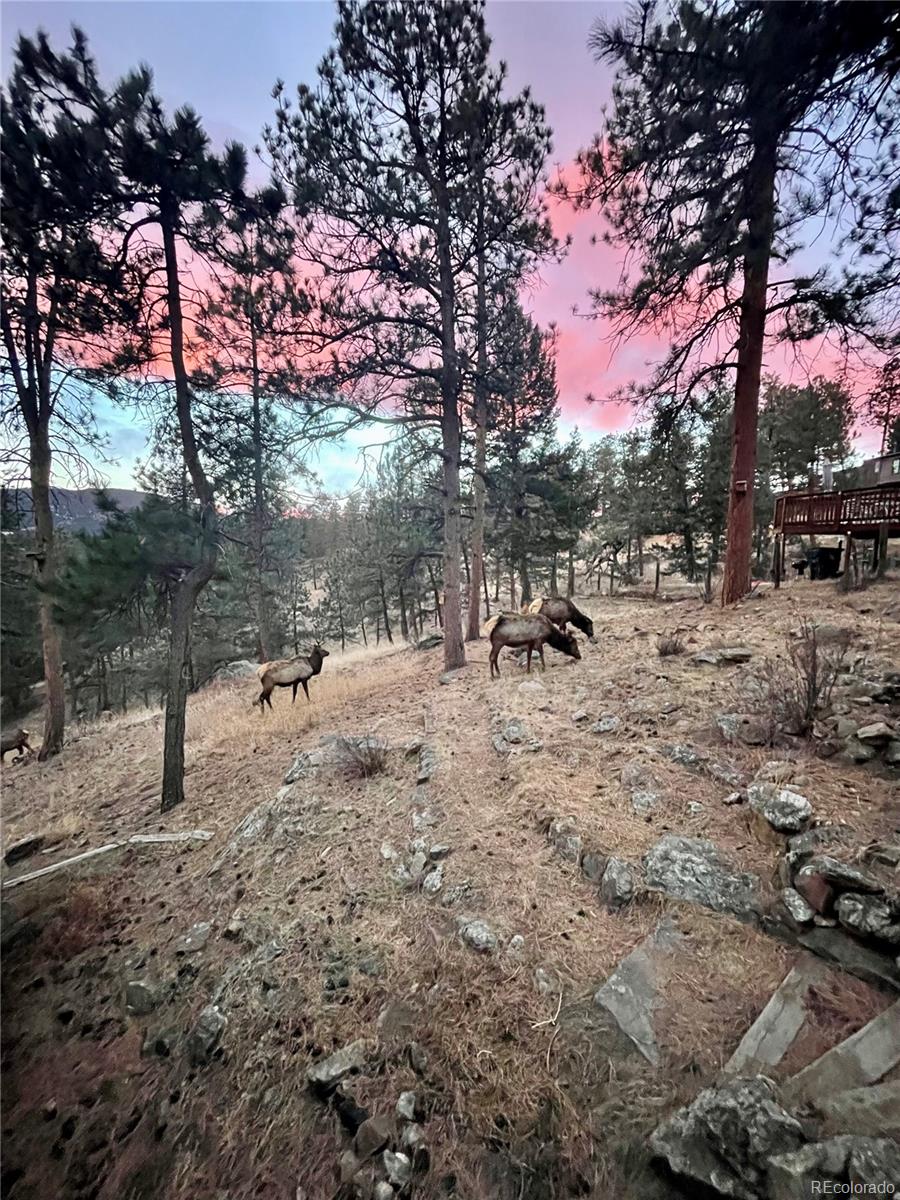 MLS Image #2 for 4786  forest hill road,evergreen, Colorado