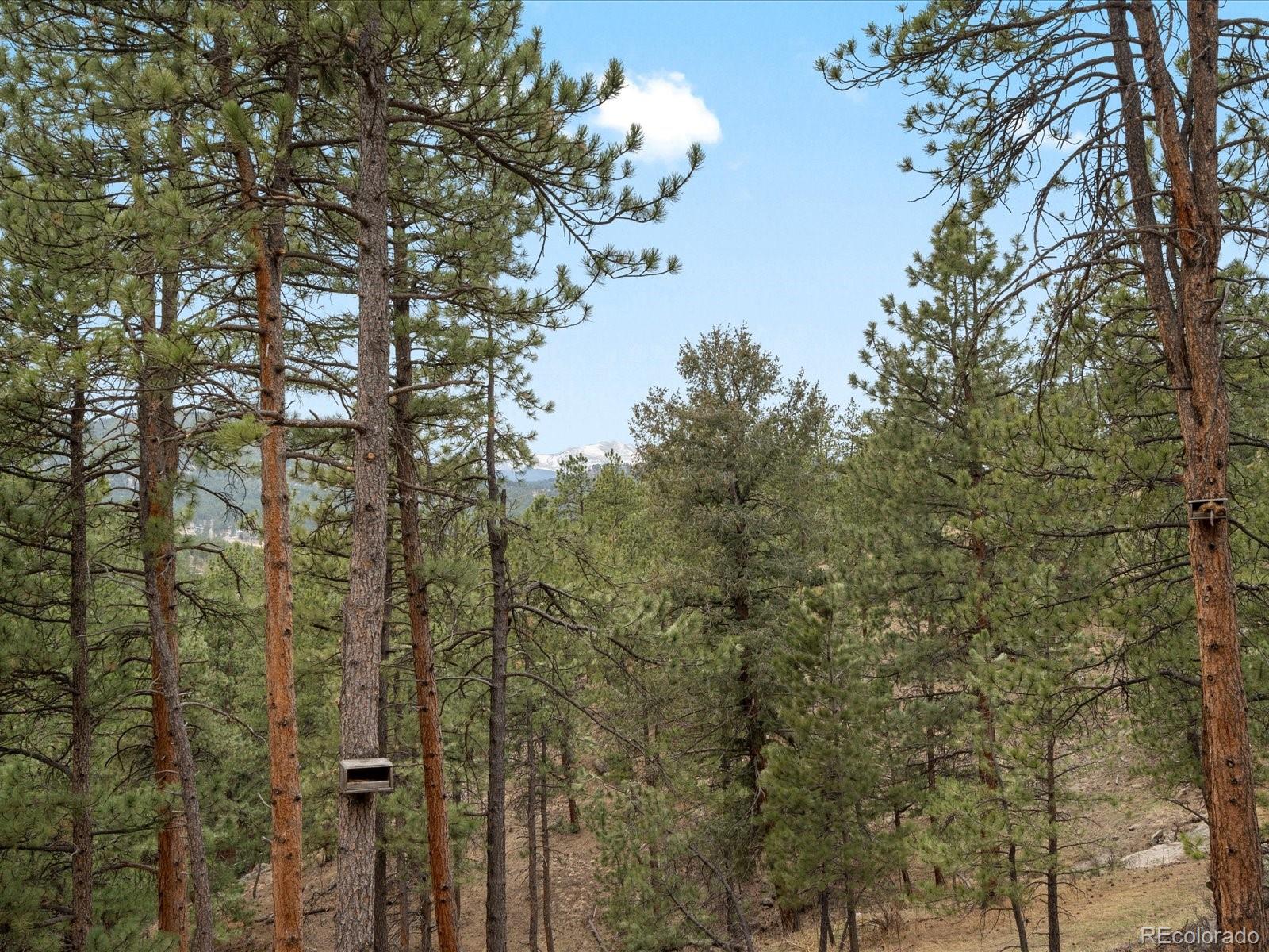 MLS Image #33 for 4786  forest hill road,evergreen, Colorado