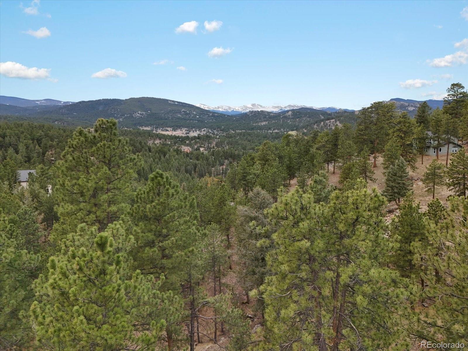 MLS Image #40 for 4786  forest hill road,evergreen, Colorado