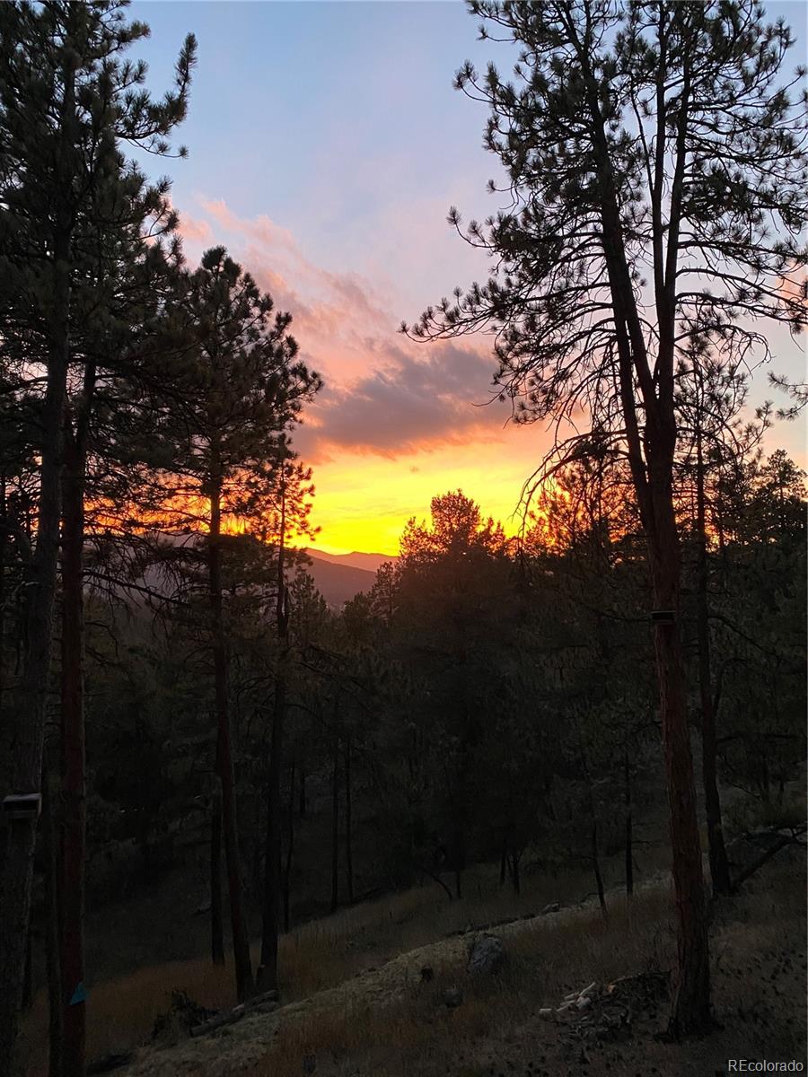MLS Image #45 for 4786  forest hill road,evergreen, Colorado