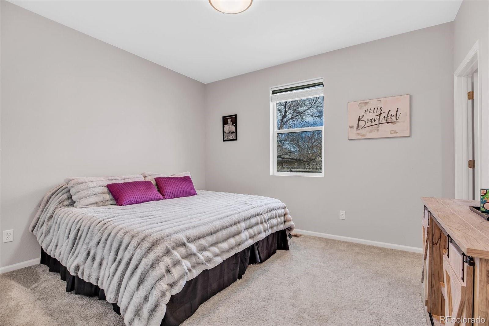 MLS Image #15 for 187  cerillos street,brighton, Colorado