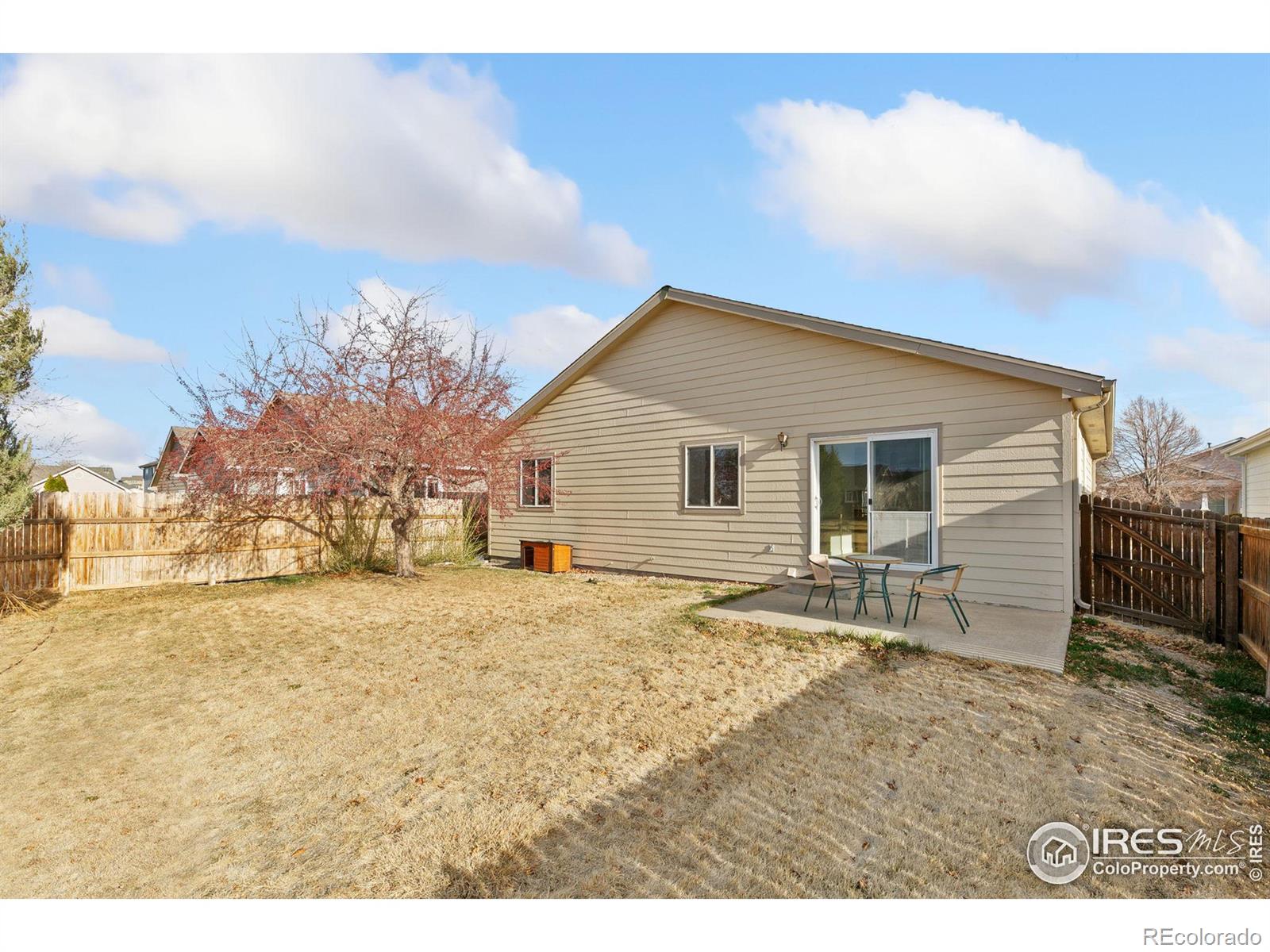 MLS Image #10 for 3815  bonneymoore drive,fort collins, Colorado