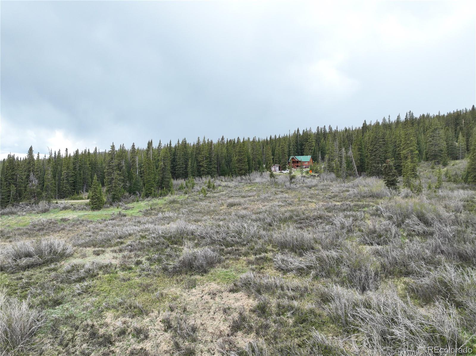 MLS Image #46 for 1292  valley of the sun drive,fairplay, Colorado