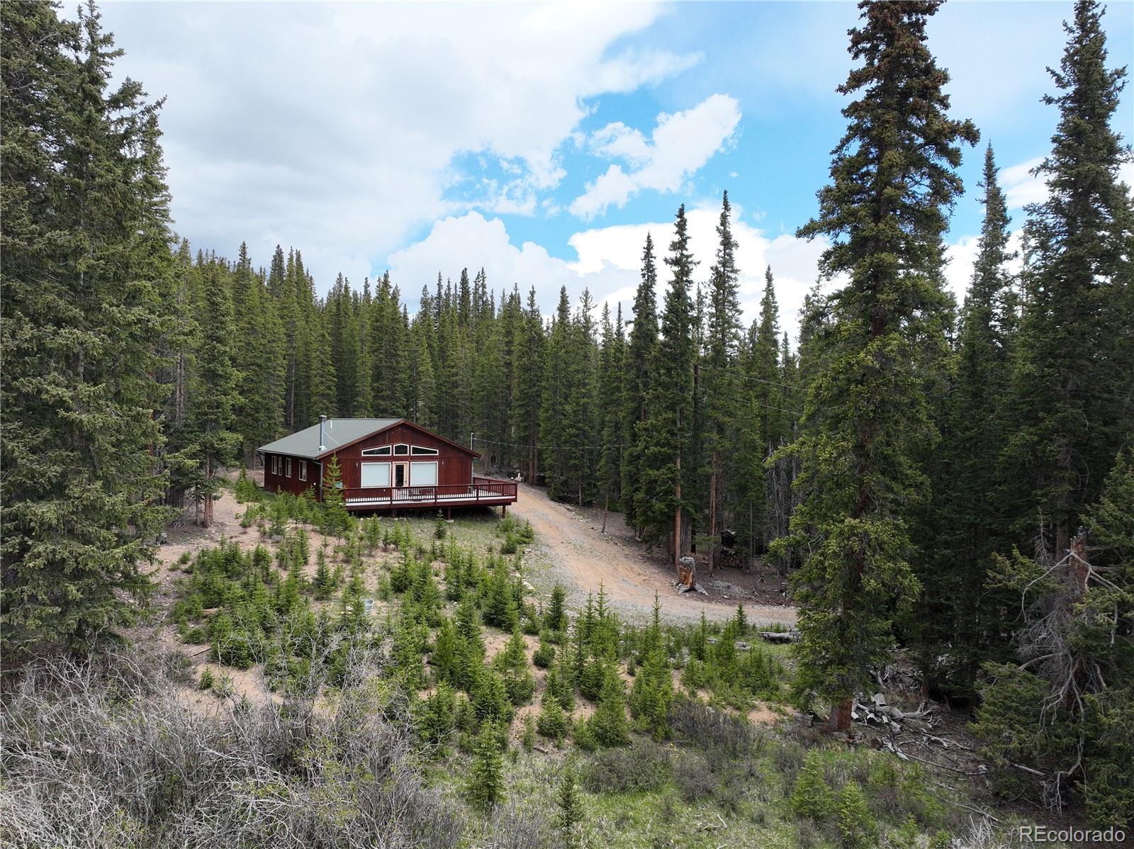 MLS Image #47 for 1292  valley of the sun drive,fairplay, Colorado