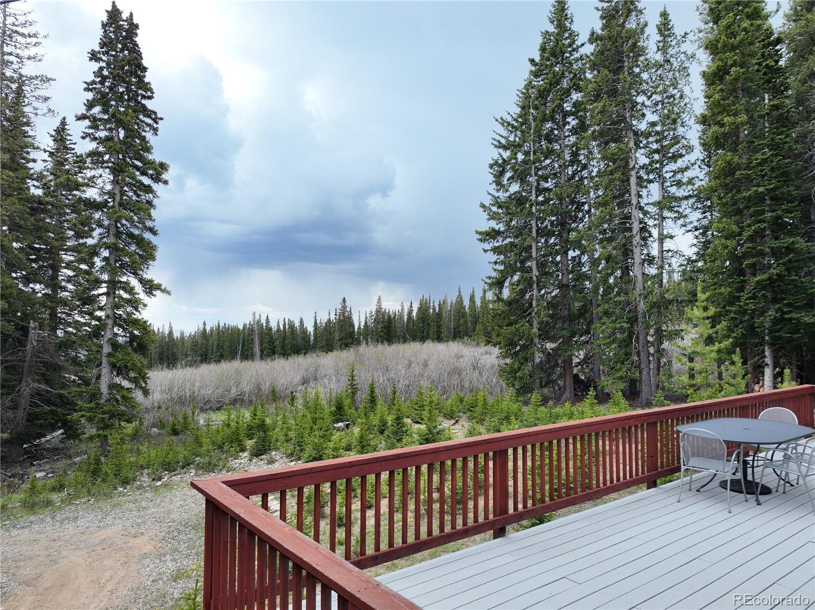 MLS Image #48 for 1292  valley of the sun drive,fairplay, Colorado