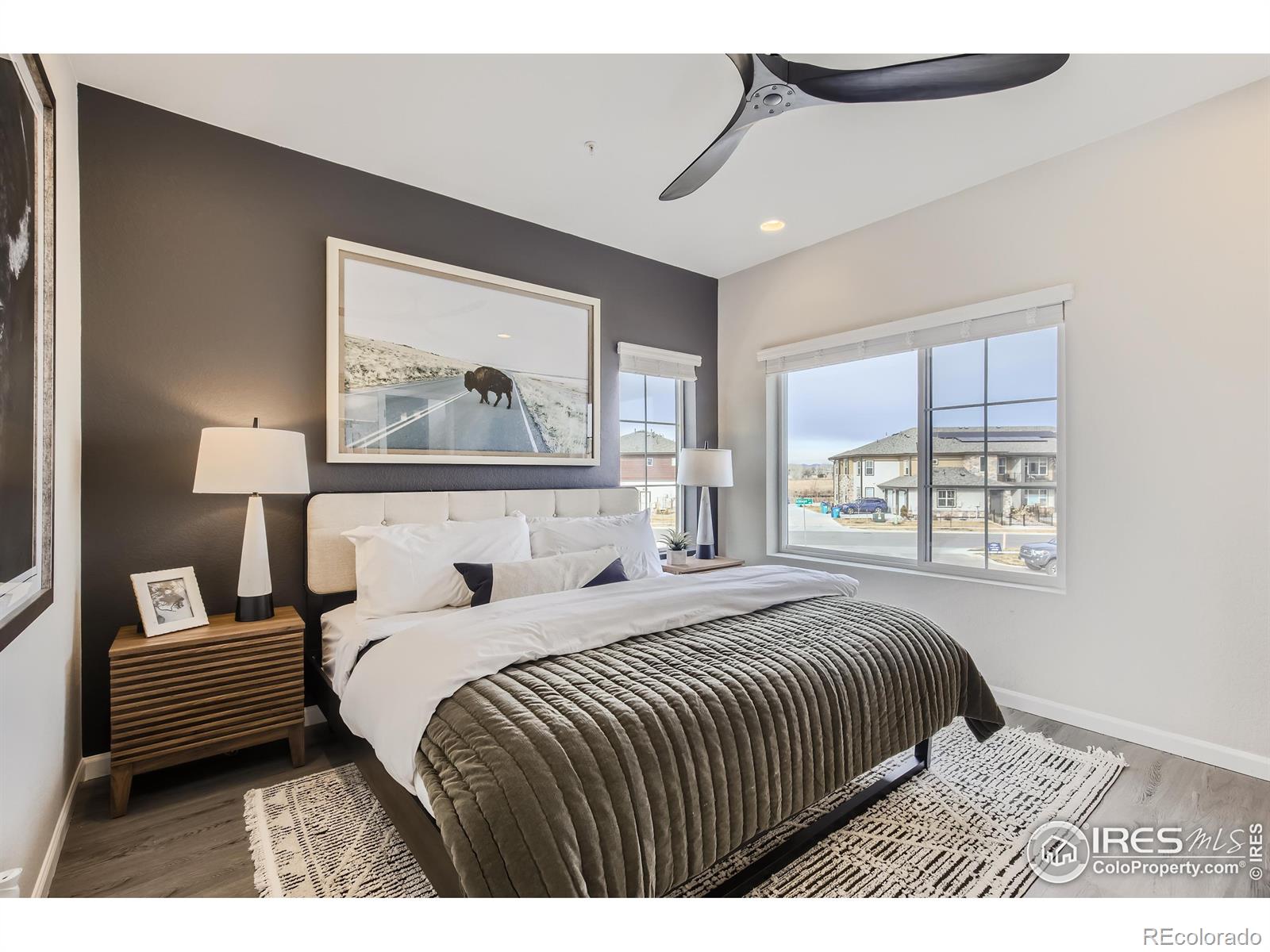 MLS Image #11 for 1002  collamer drive,fort collins, Colorado