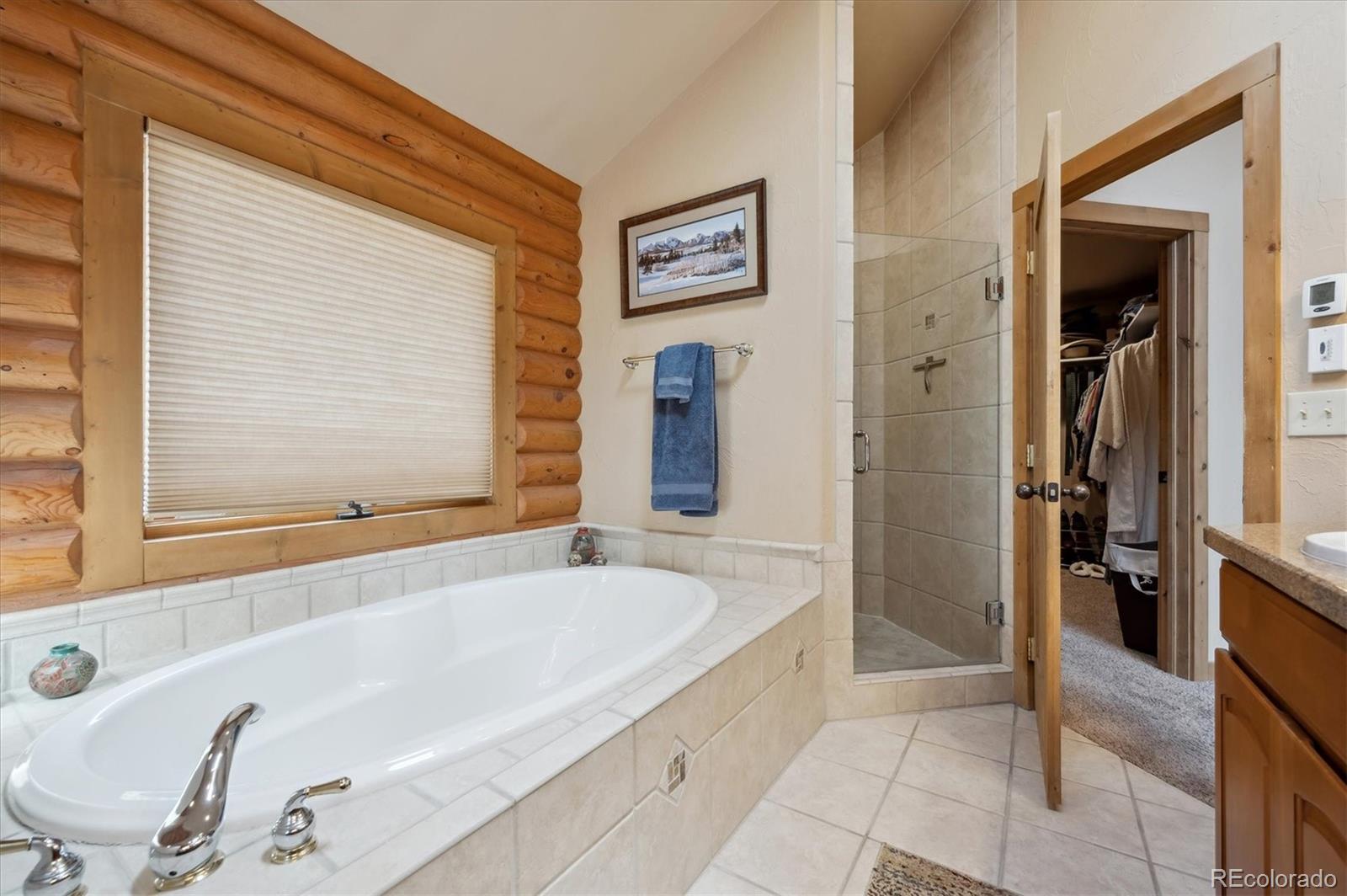 MLS Image #17 for 1758  pine valley road,evergreen, Colorado
