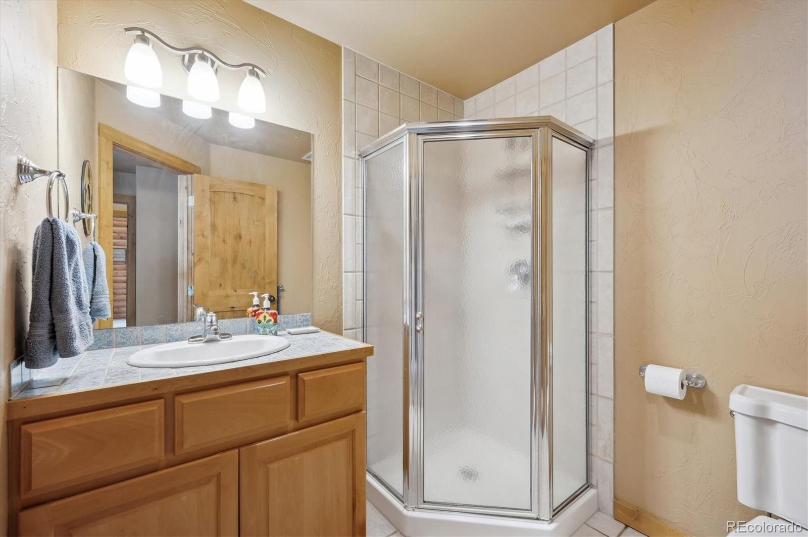 MLS Image #21 for 1758  pine valley road,evergreen, Colorado