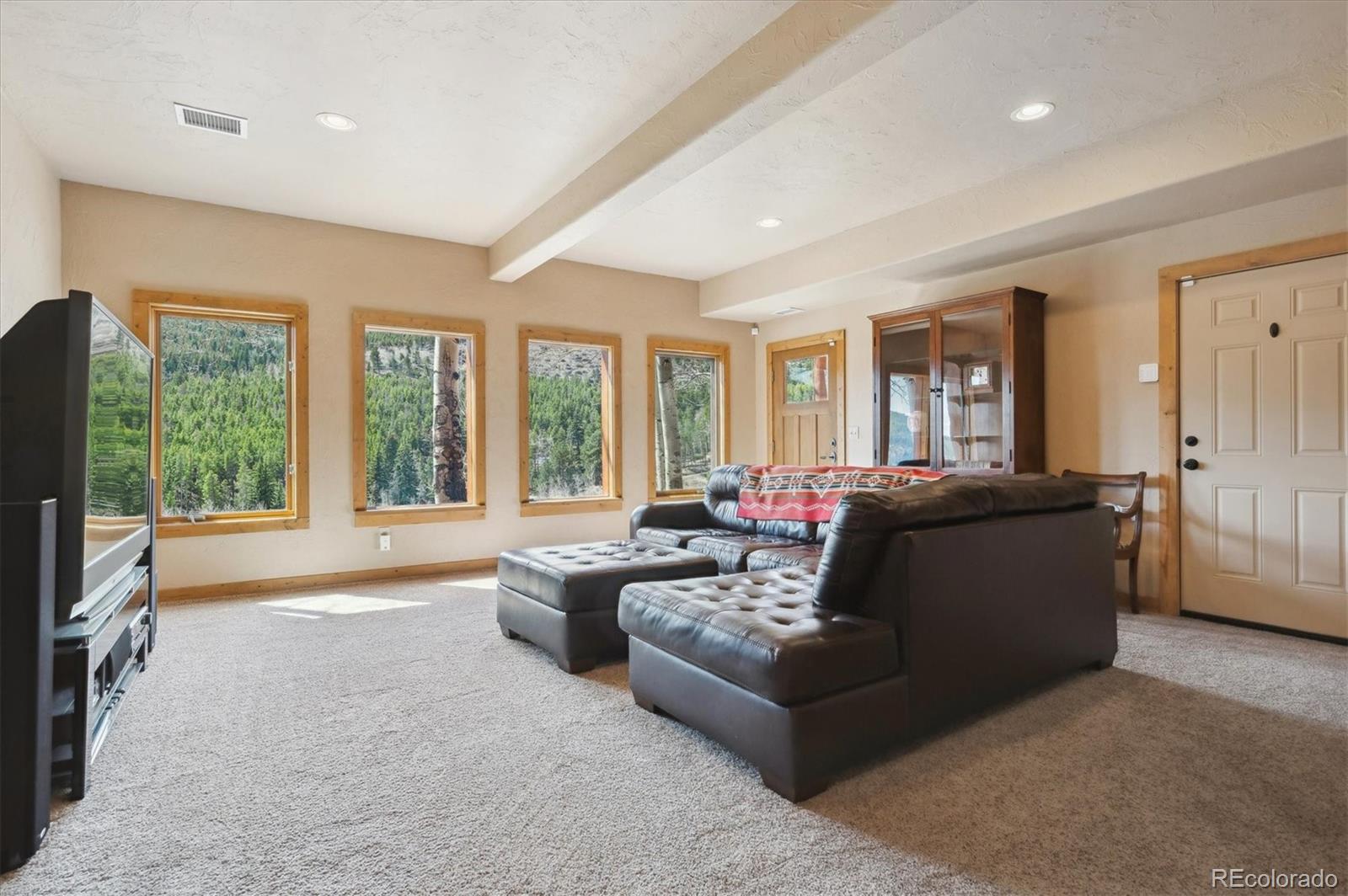 MLS Image #22 for 1758  pine valley road,evergreen, Colorado
