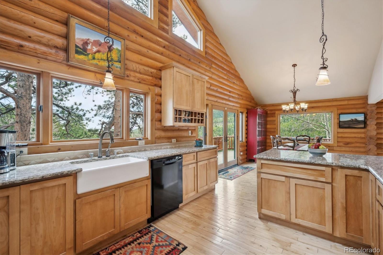 MLS Image #7 for 1758  pine valley road,evergreen, Colorado