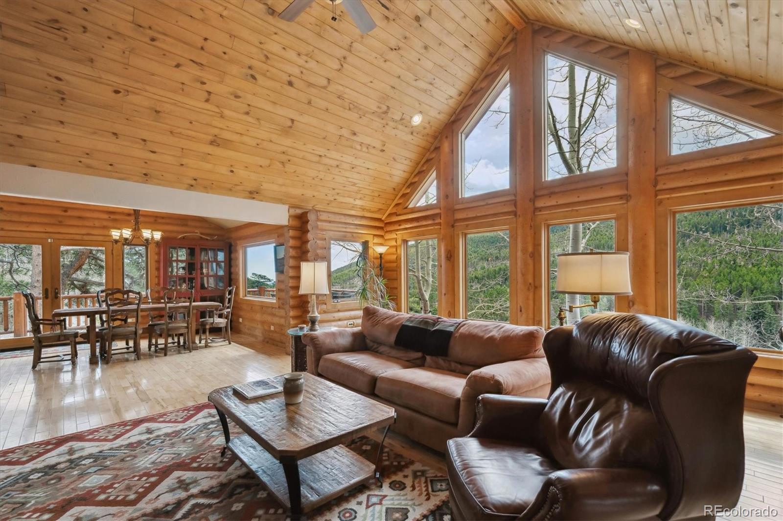 MLS Image #9 for 1758  pine valley road,evergreen, Colorado