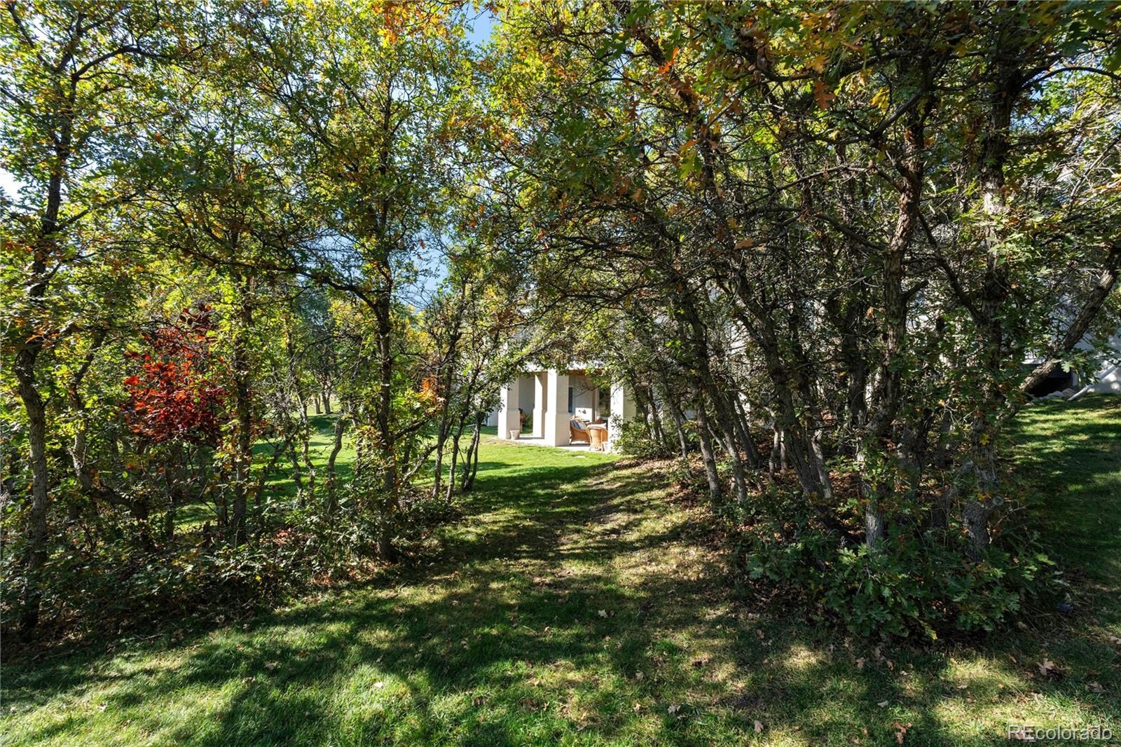 MLS Image #3 for 60  glenalla place,castle rock, Colorado