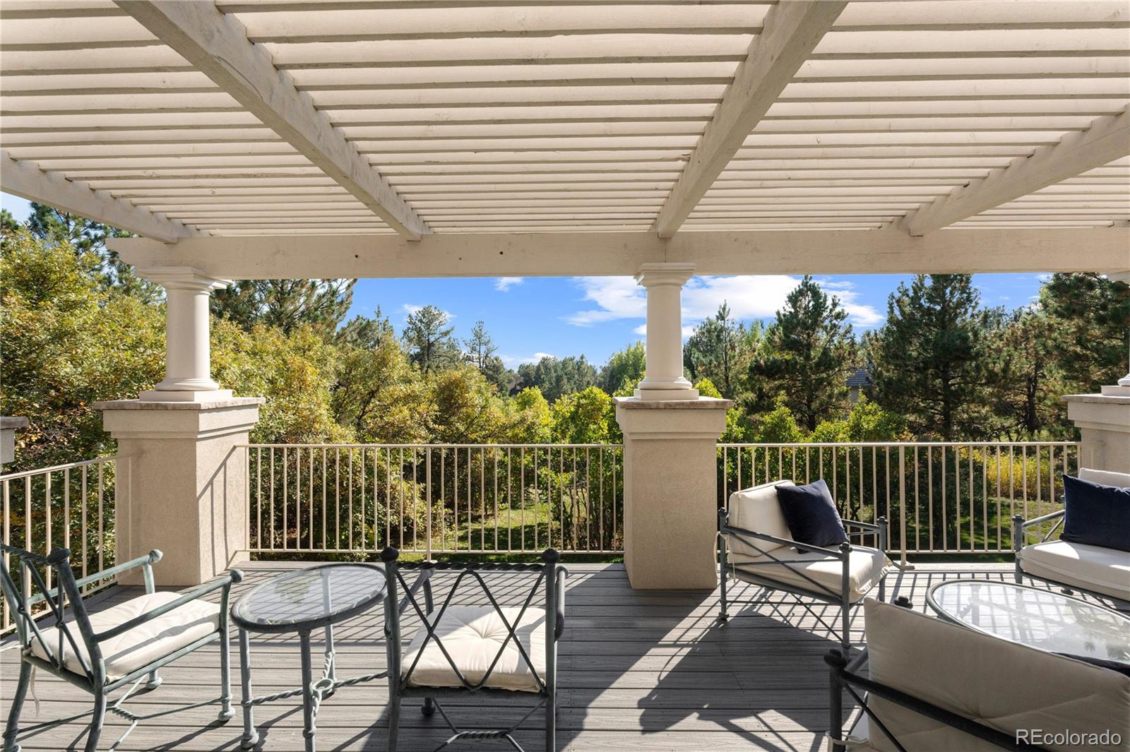 MLS Image #5 for 60  glenalla place,castle rock, Colorado