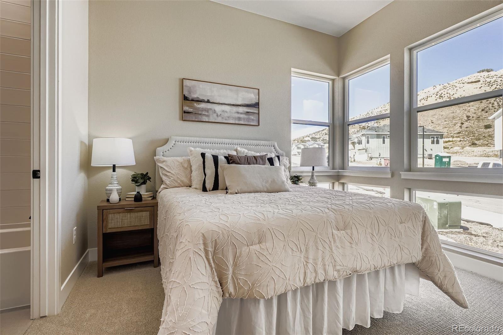 MLS Image #20 for 2011  grayside circle,castle rock, Colorado