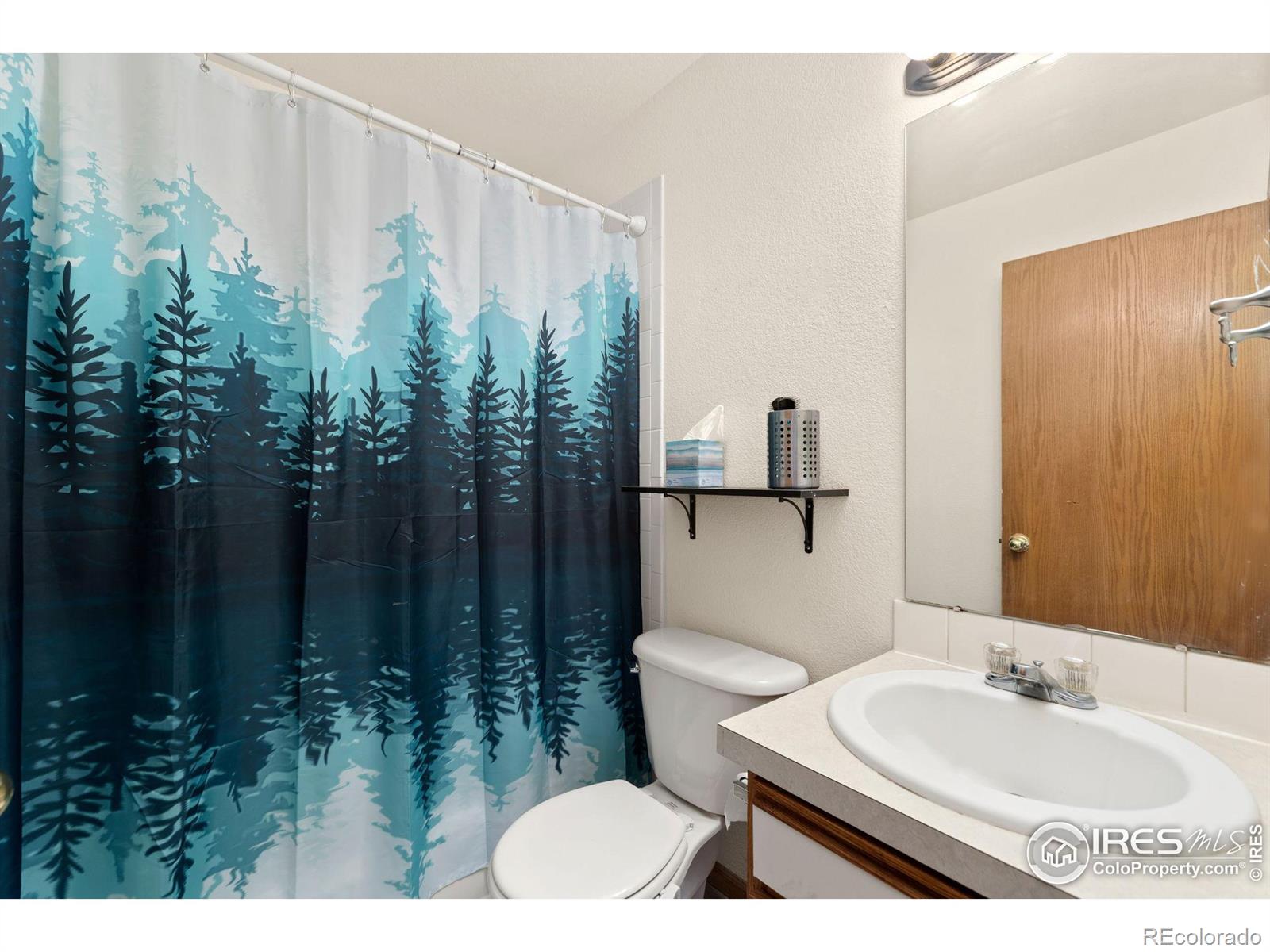 MLS Image #14 for 3005  ross drive,fort collins, Colorado