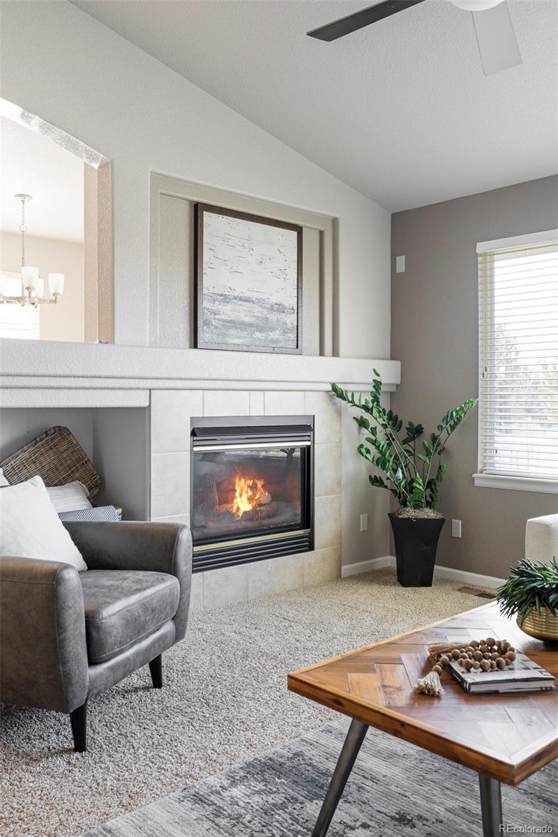MLS Image #8 for 20550 e lake circle,centennial, Colorado