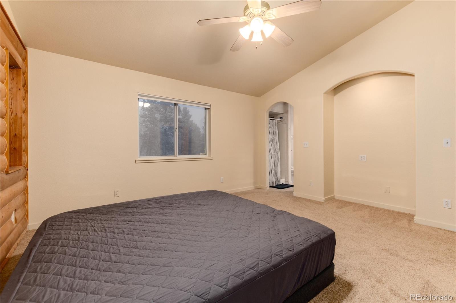 MLS Image #15 for 250  upper forest road,idaho springs, Colorado