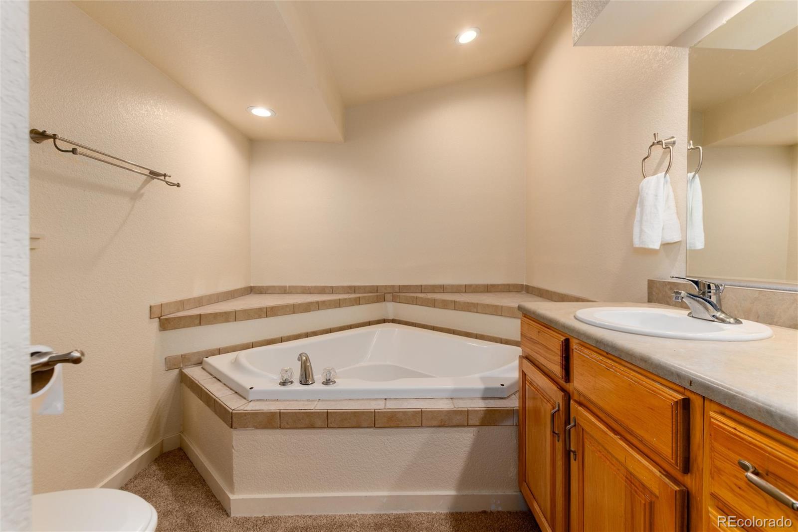MLS Image #17 for 250  upper forest road,idaho springs, Colorado