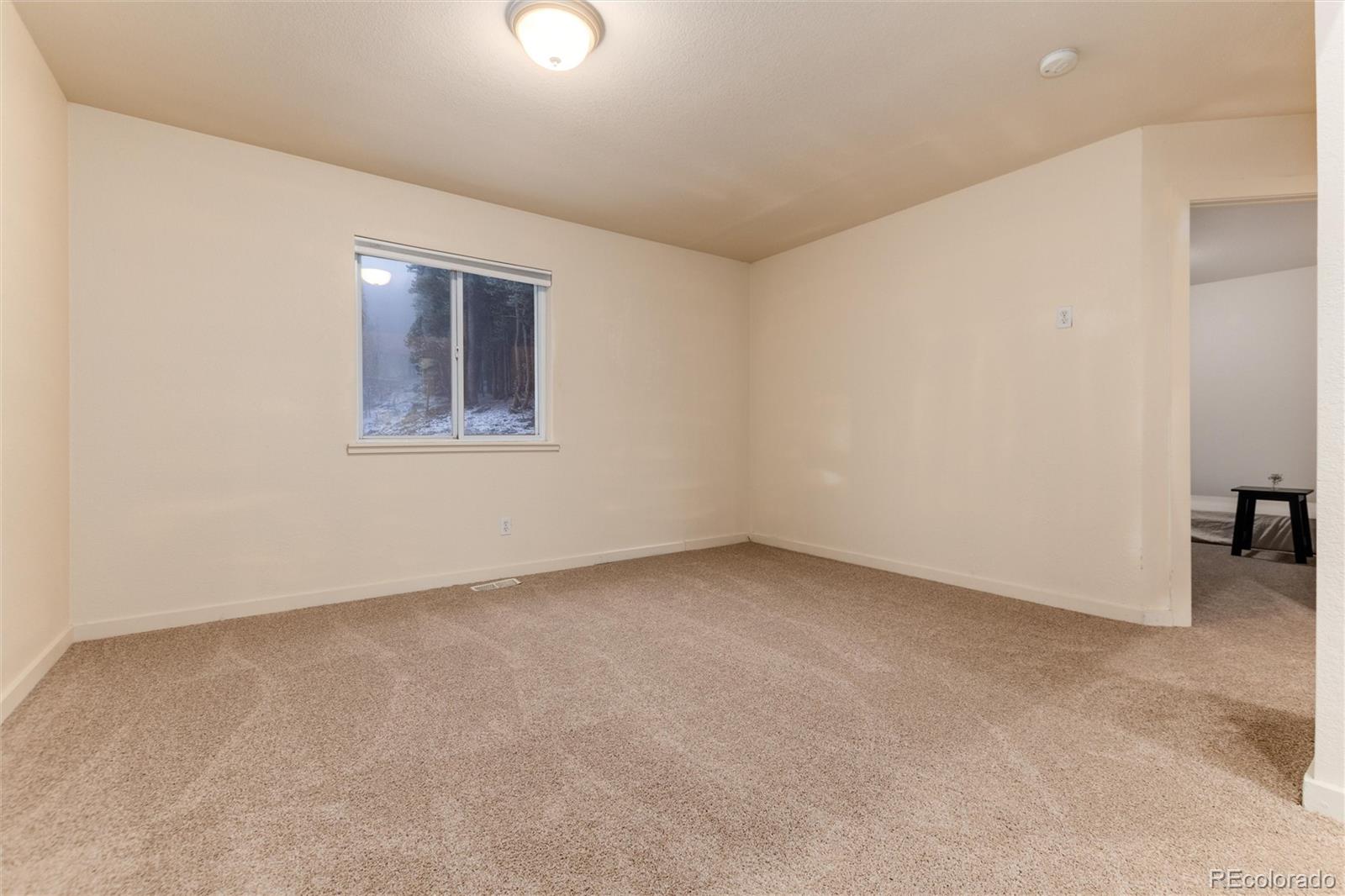 MLS Image #20 for 250  upper forest road,idaho springs, Colorado