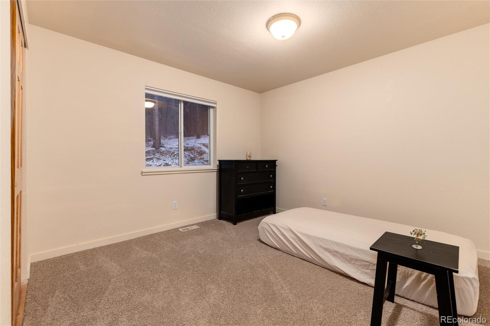 MLS Image #25 for 250  upper forest road,idaho springs, Colorado
