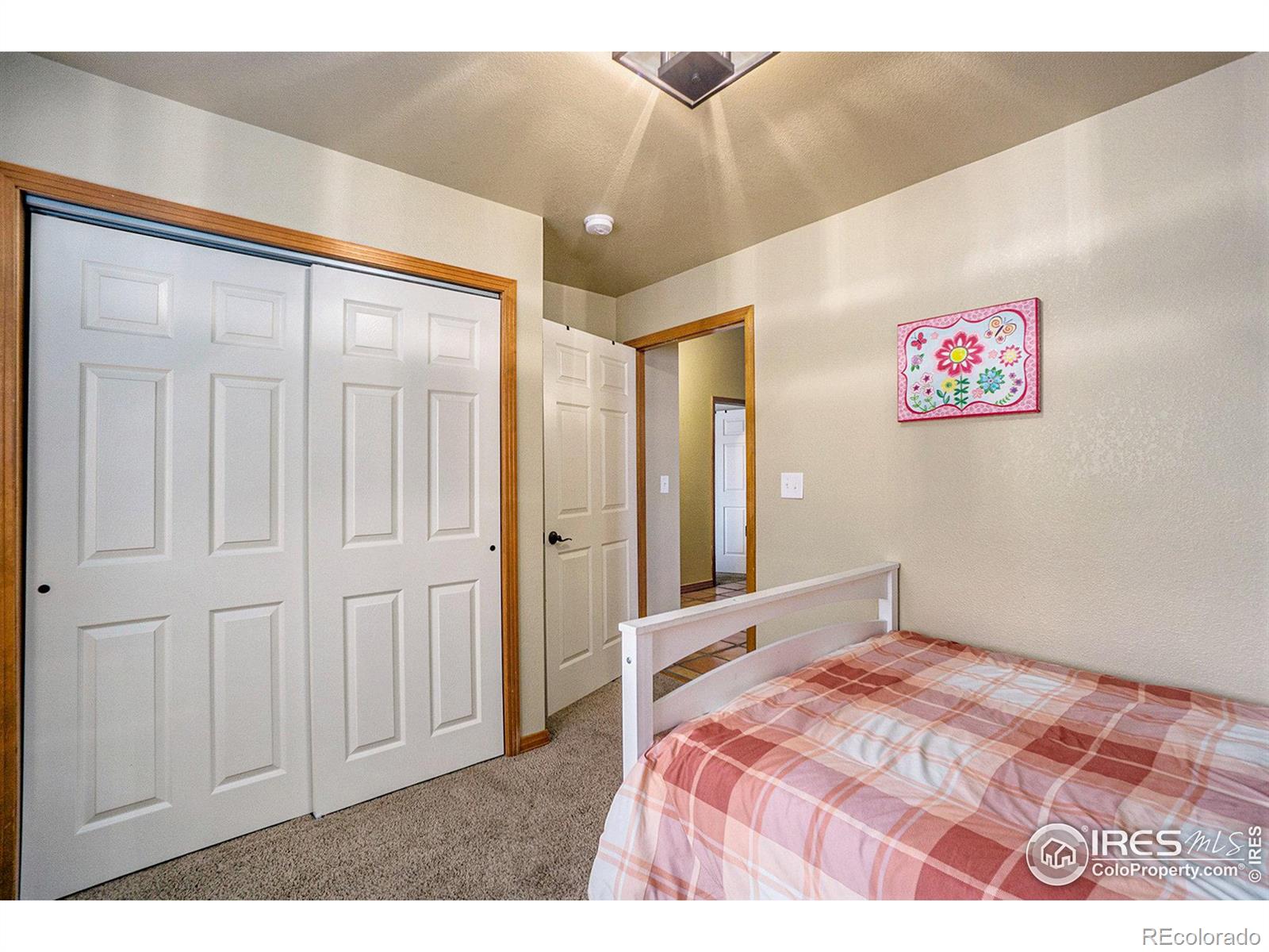 MLS Image #17 for 7889  antelope court,wellington, Colorado