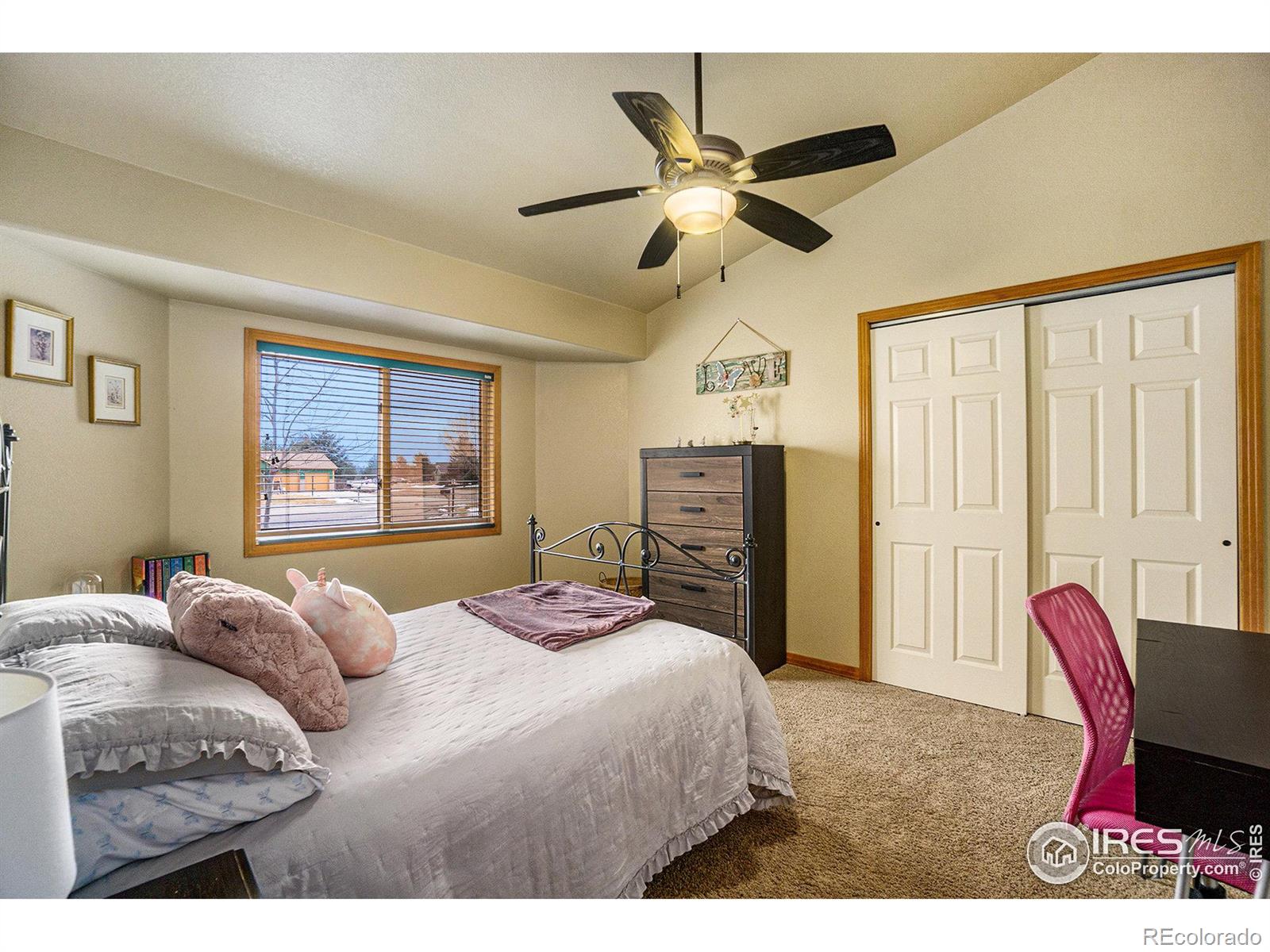 MLS Image #18 for 7889  antelope court,wellington, Colorado