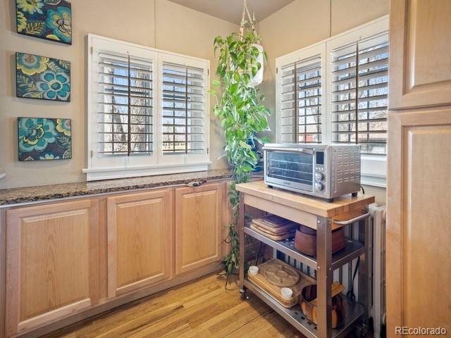 MLS Image #10 for 2995  albion street,denver, Colorado