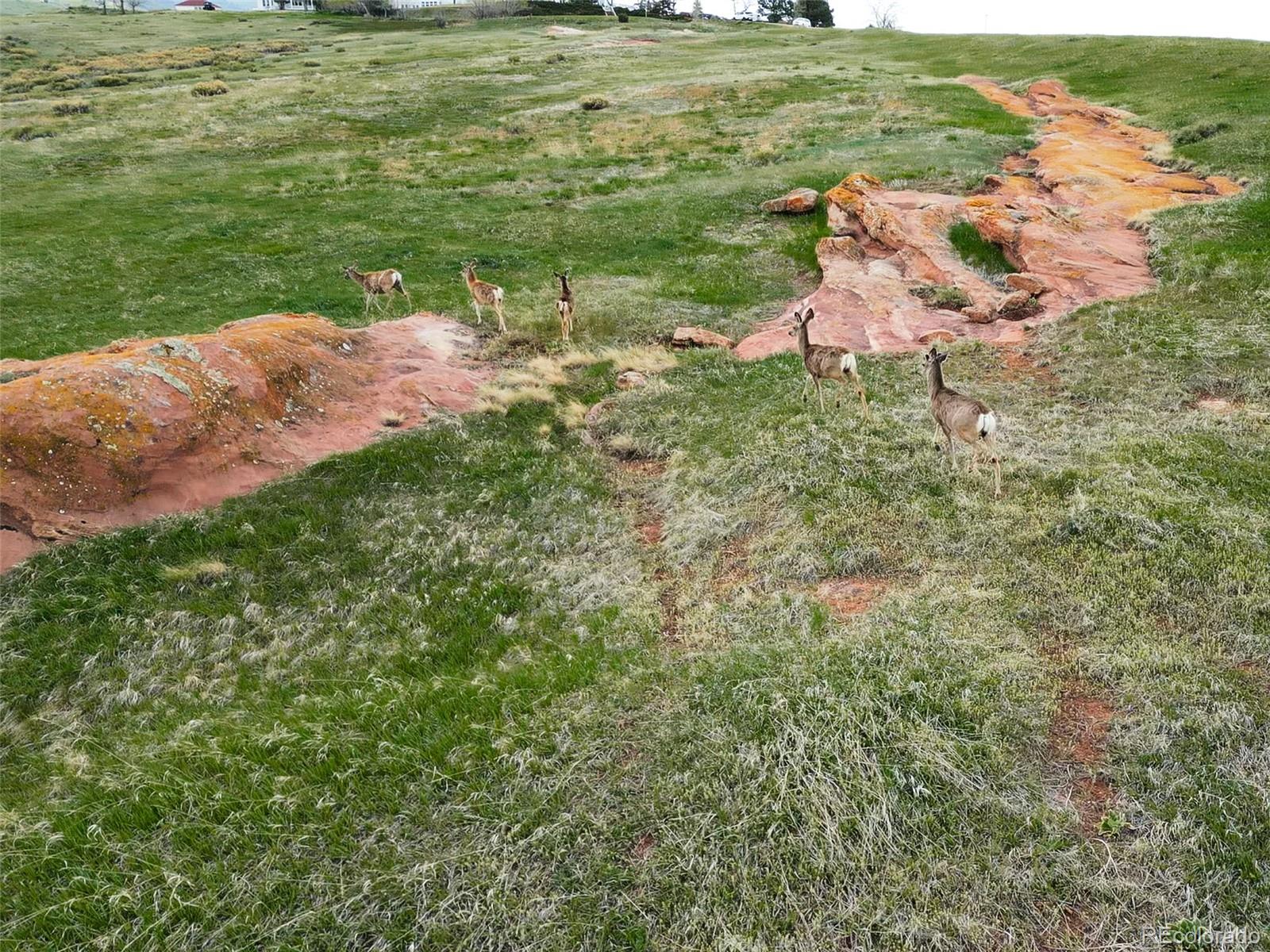 MLS Image #48 for 62 n ranch road,littleton, Colorado