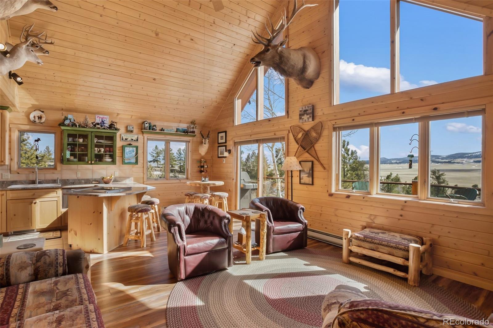 MLS Image #13 for 252  bandolier court,hartsel, Colorado
