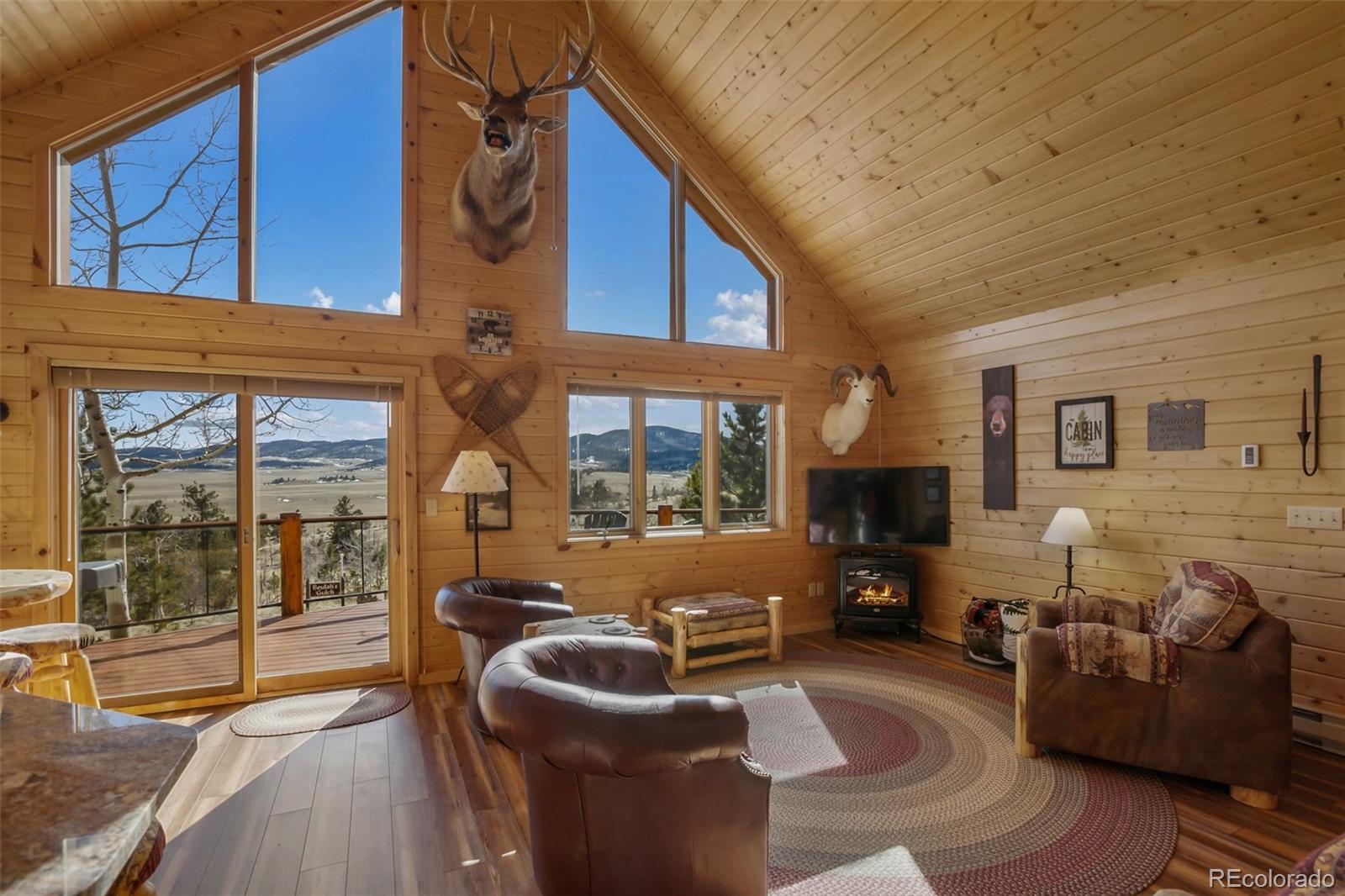 MLS Image #15 for 252  bandolier court,hartsel, Colorado